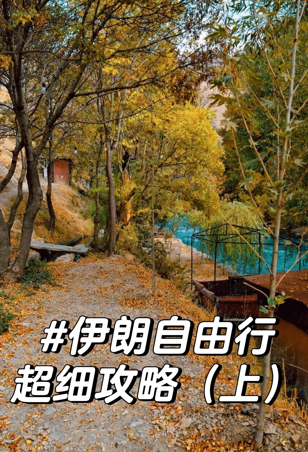 更适合普通人的伊朗超详细白菜价旅游攻略