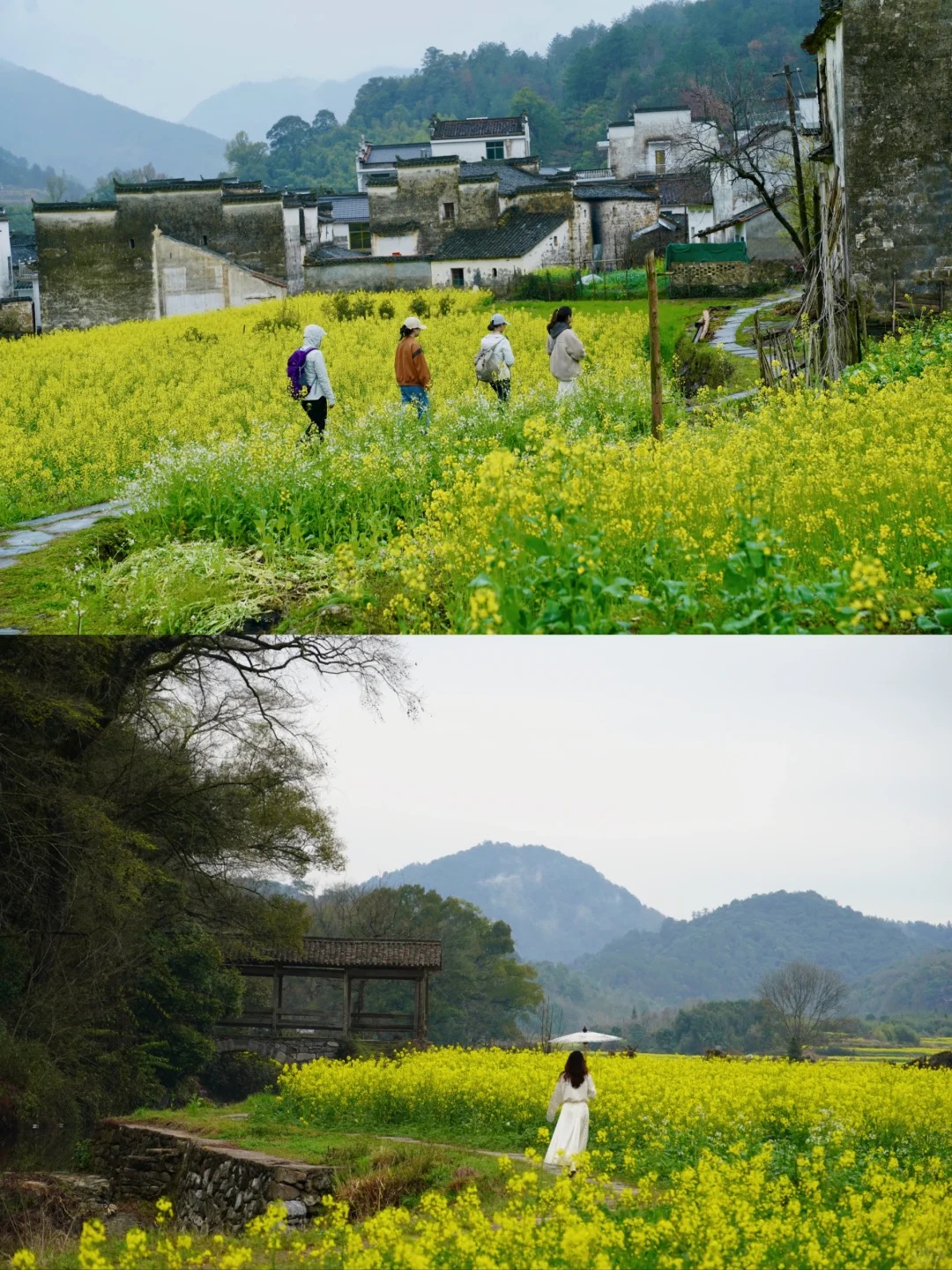 不踩雷不拥挤没门票，④条婺源小众玩法奉上