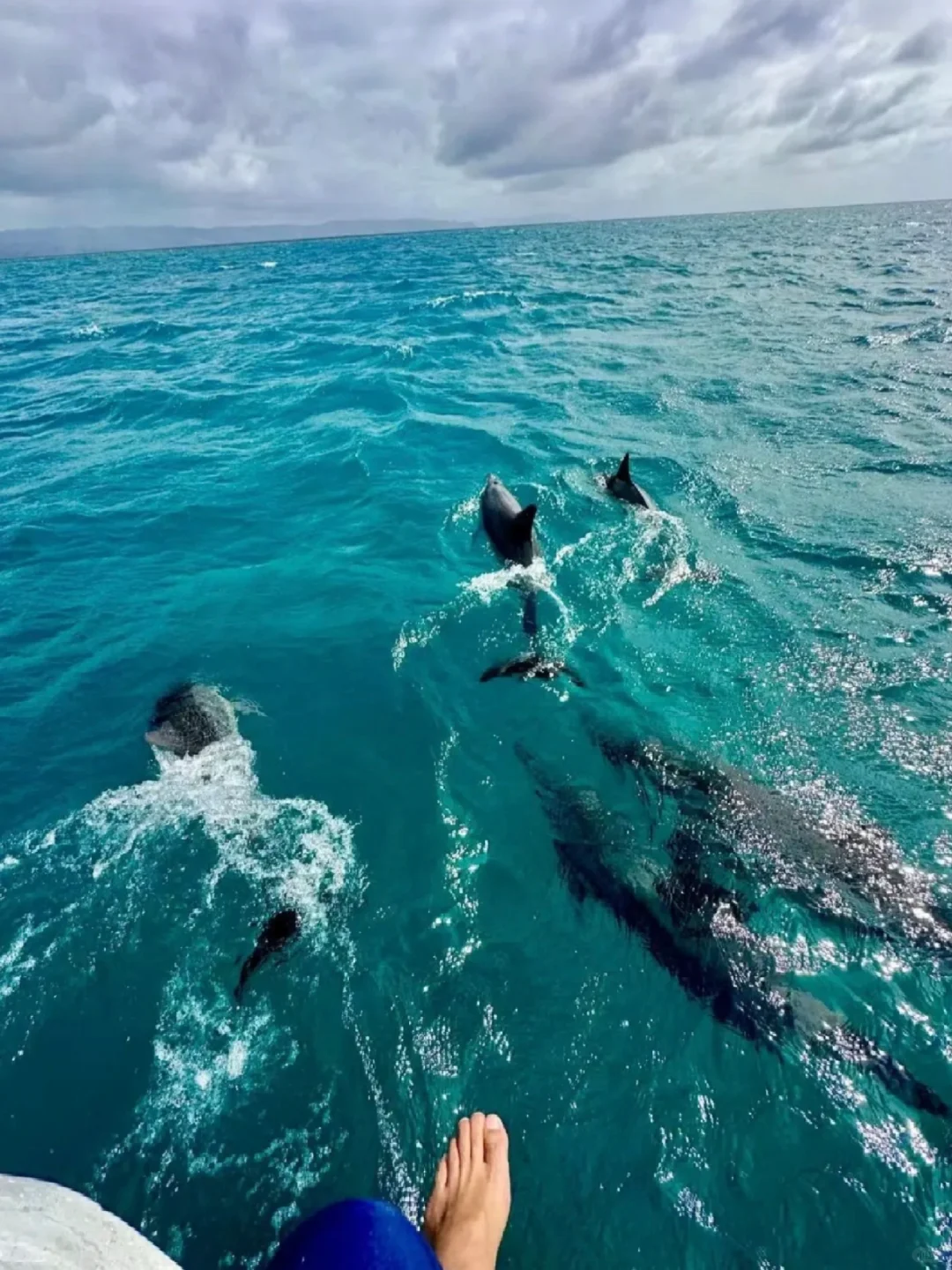 五一去哪玩？斐济绝美海岛了解一下？😋