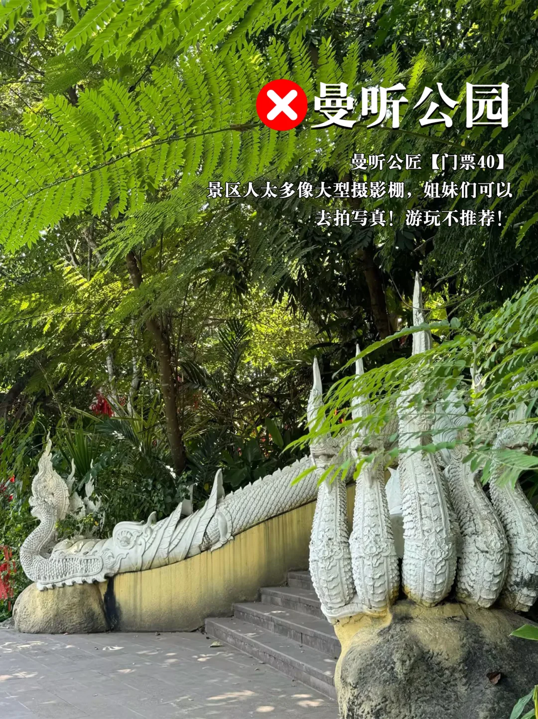 西双版纳景点避坑红⭕黑⚫榜（本地版）