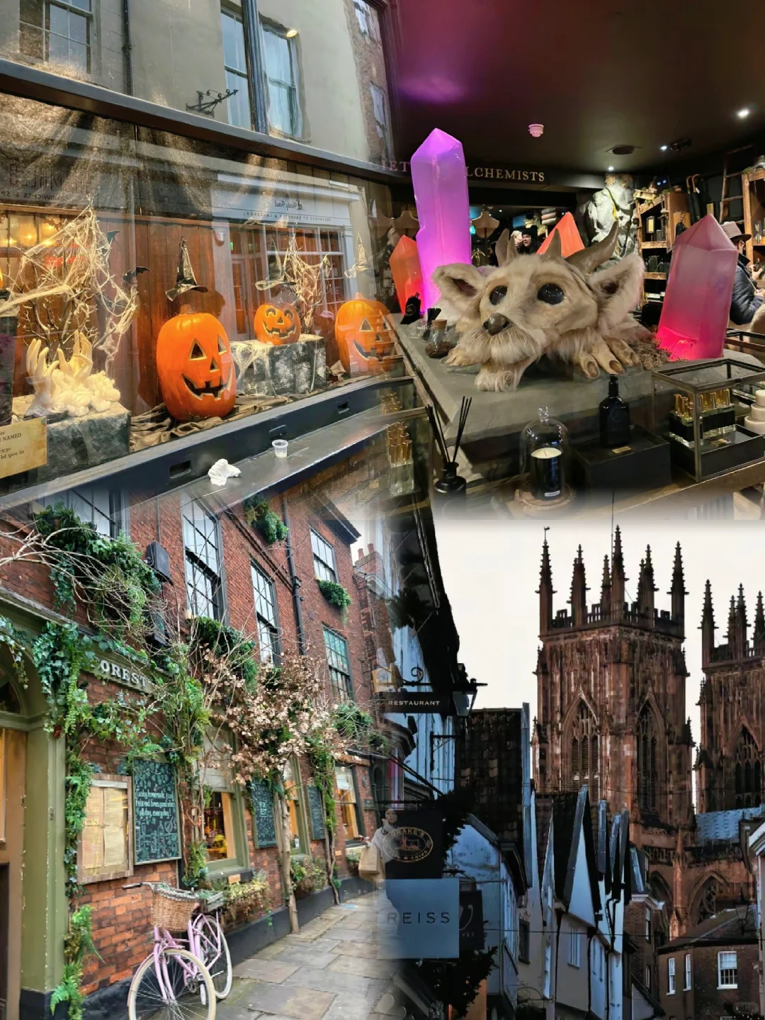 🇬🇧英伦之旅｜经典环线（亲测版）