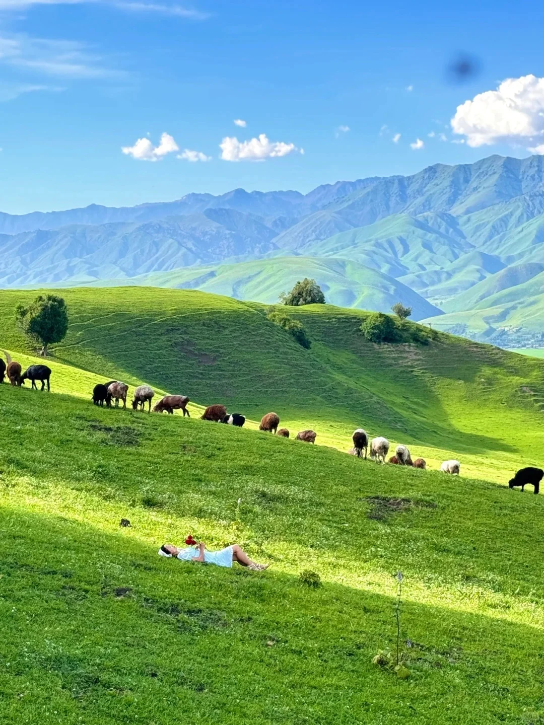 和闺蜜去新疆伊犁七天📍消费观崩塌了...