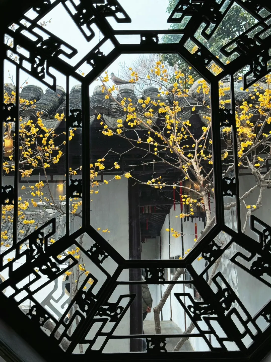 苏州📍2天1夜攻略已做好✅建议复制这条路线