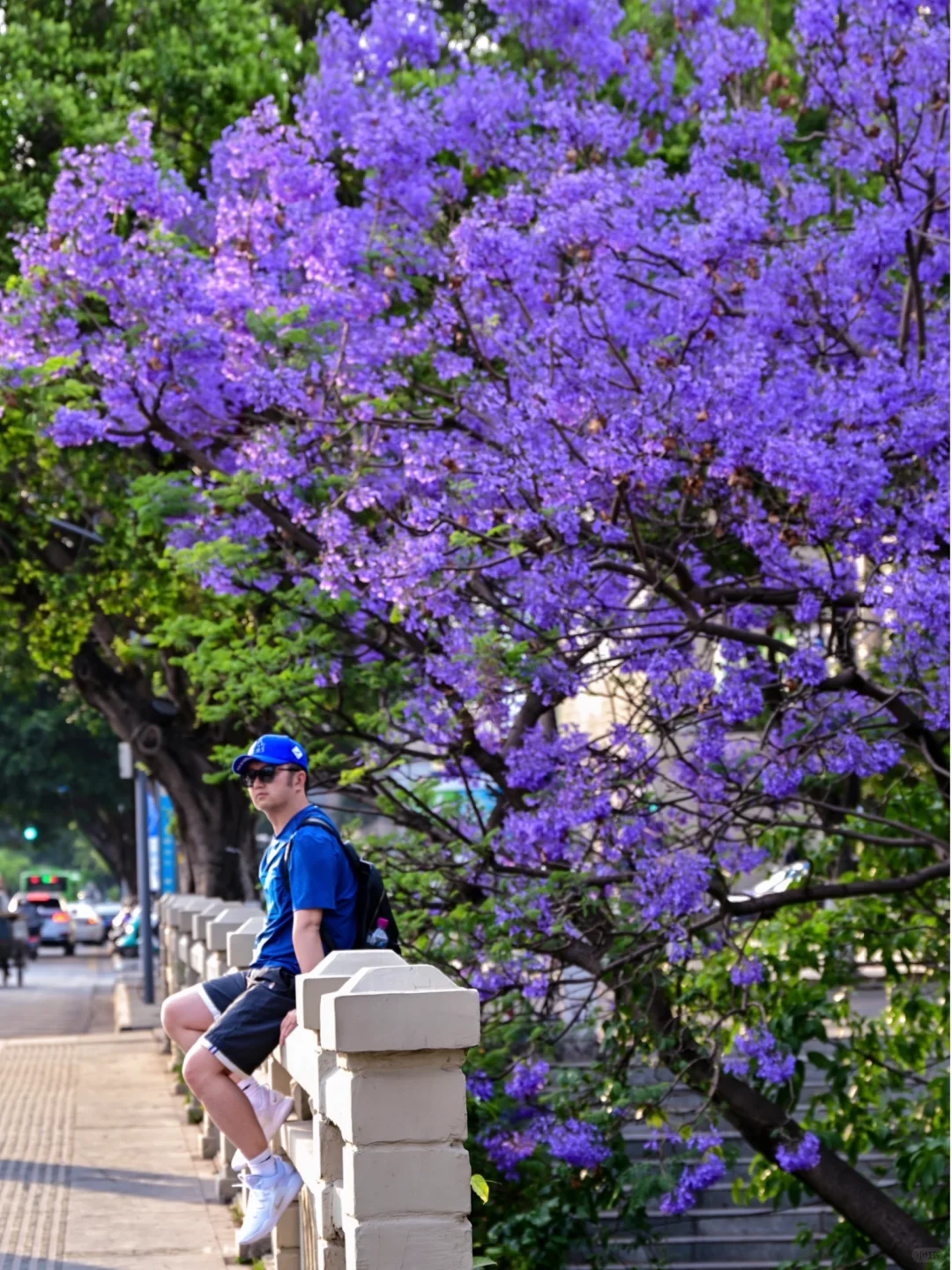 💜成都3️⃣小时，谁懂这一刻浪漫紫的含金量❗