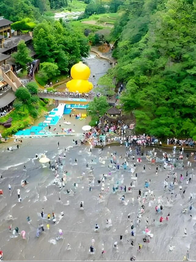 🌟 温州→宁德自驾沉浸山海-0回头