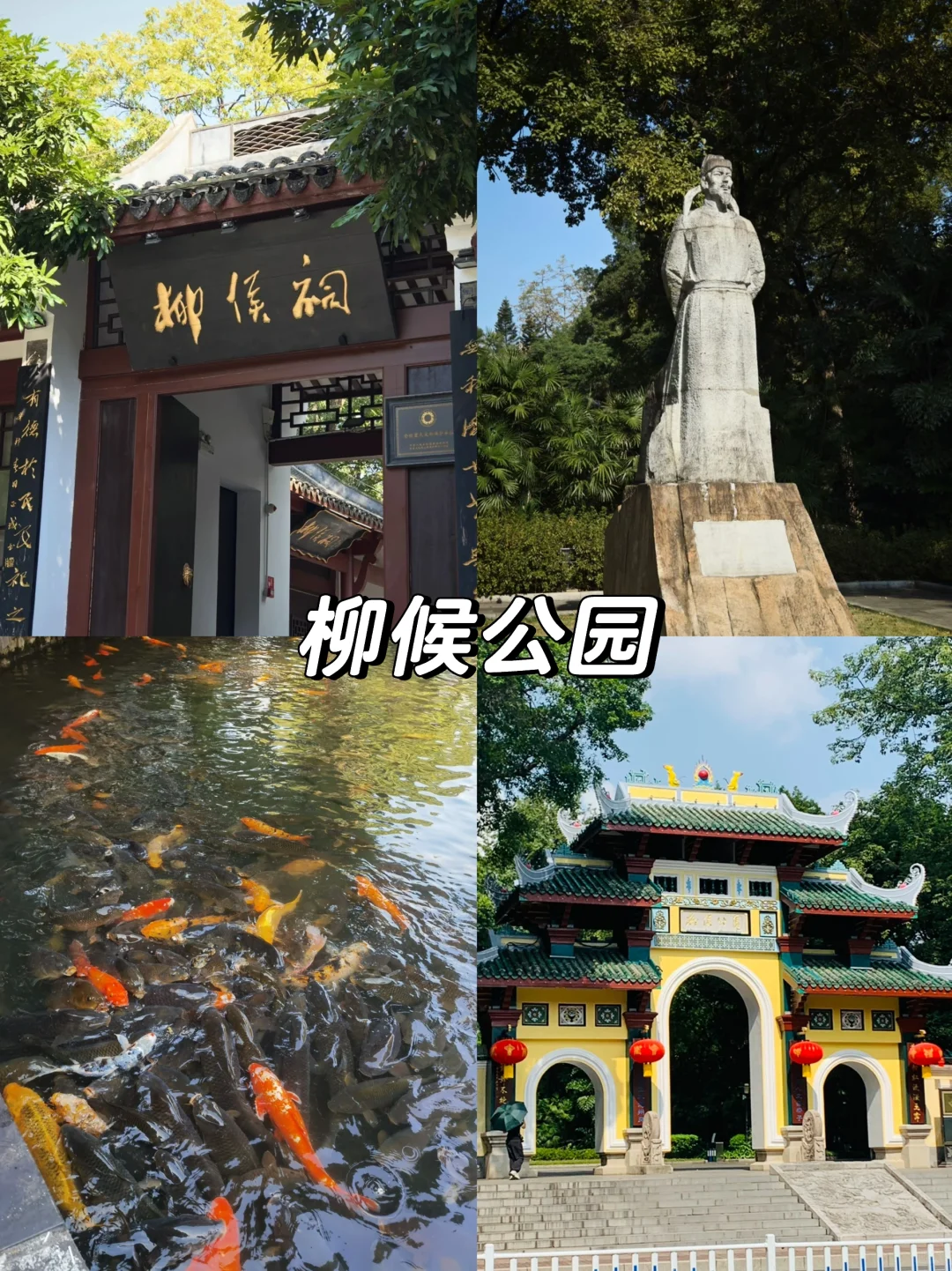 本地人吐血整理‼️来柳州必打卡的九个景点😃