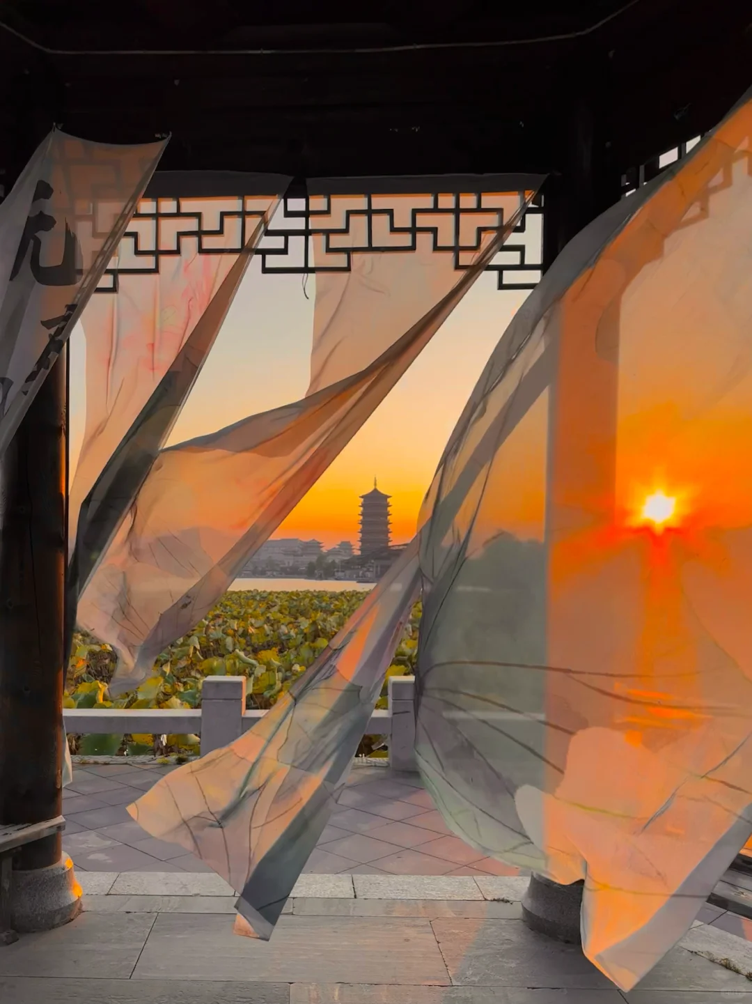 如果你也喜欢日落，不妨我们交换一张🌅