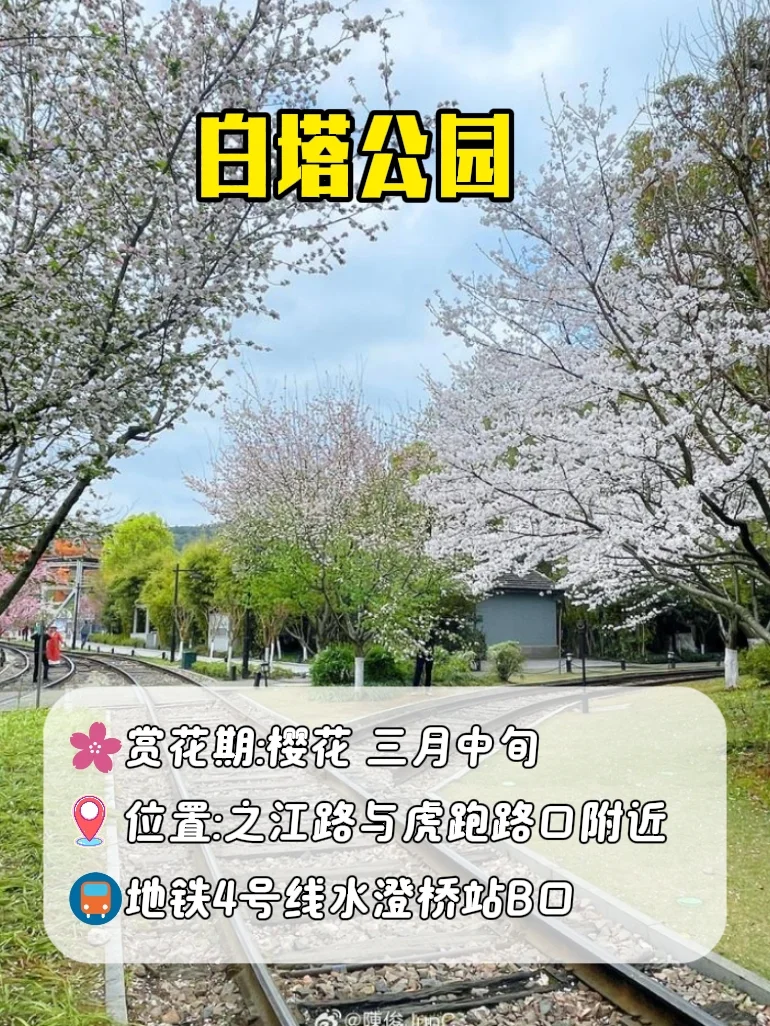 3月赏花季|杭州被狠狠低估的5个小众景点