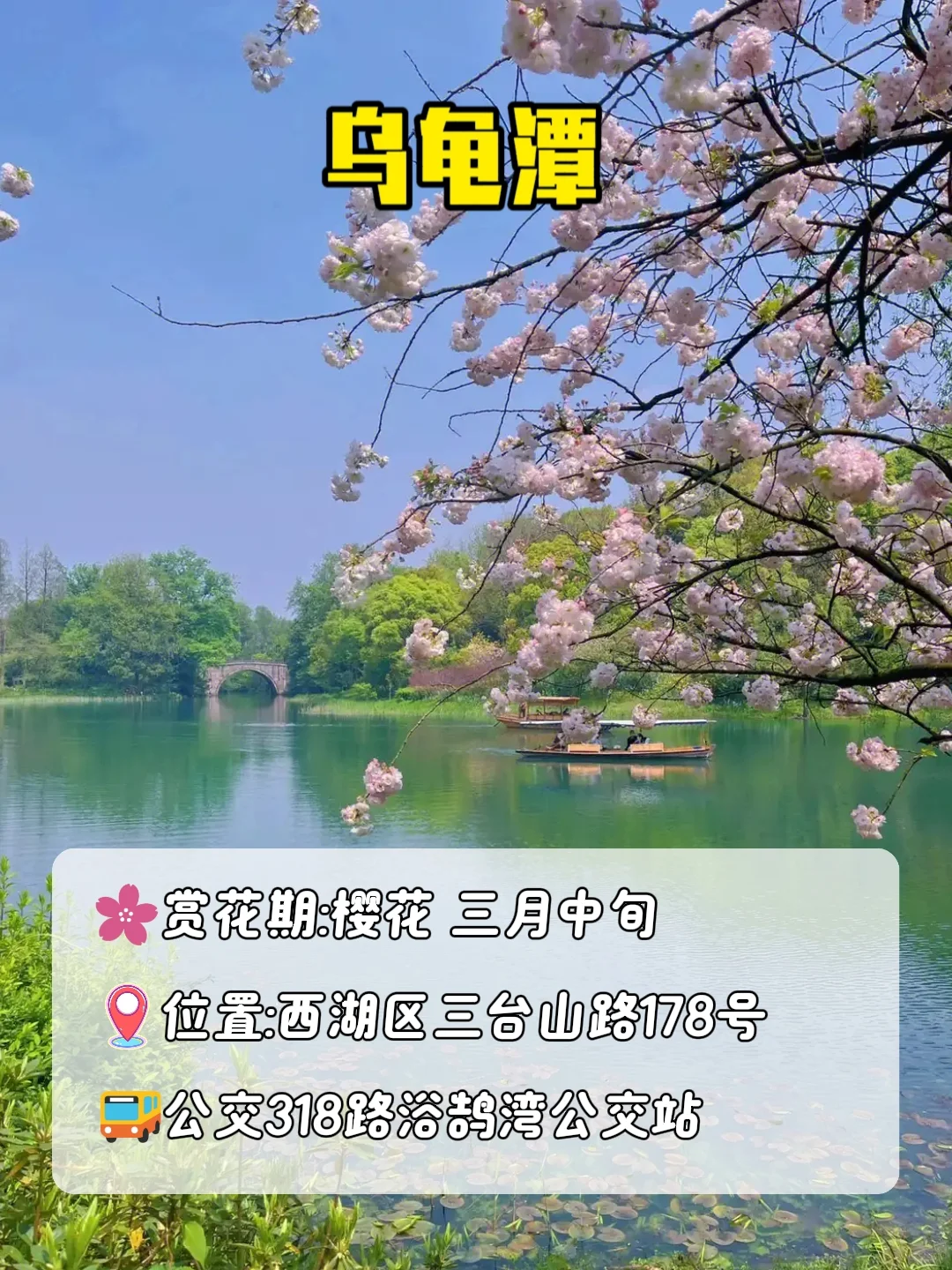 3月赏花季|杭州被狠狠低估的5个小众景点