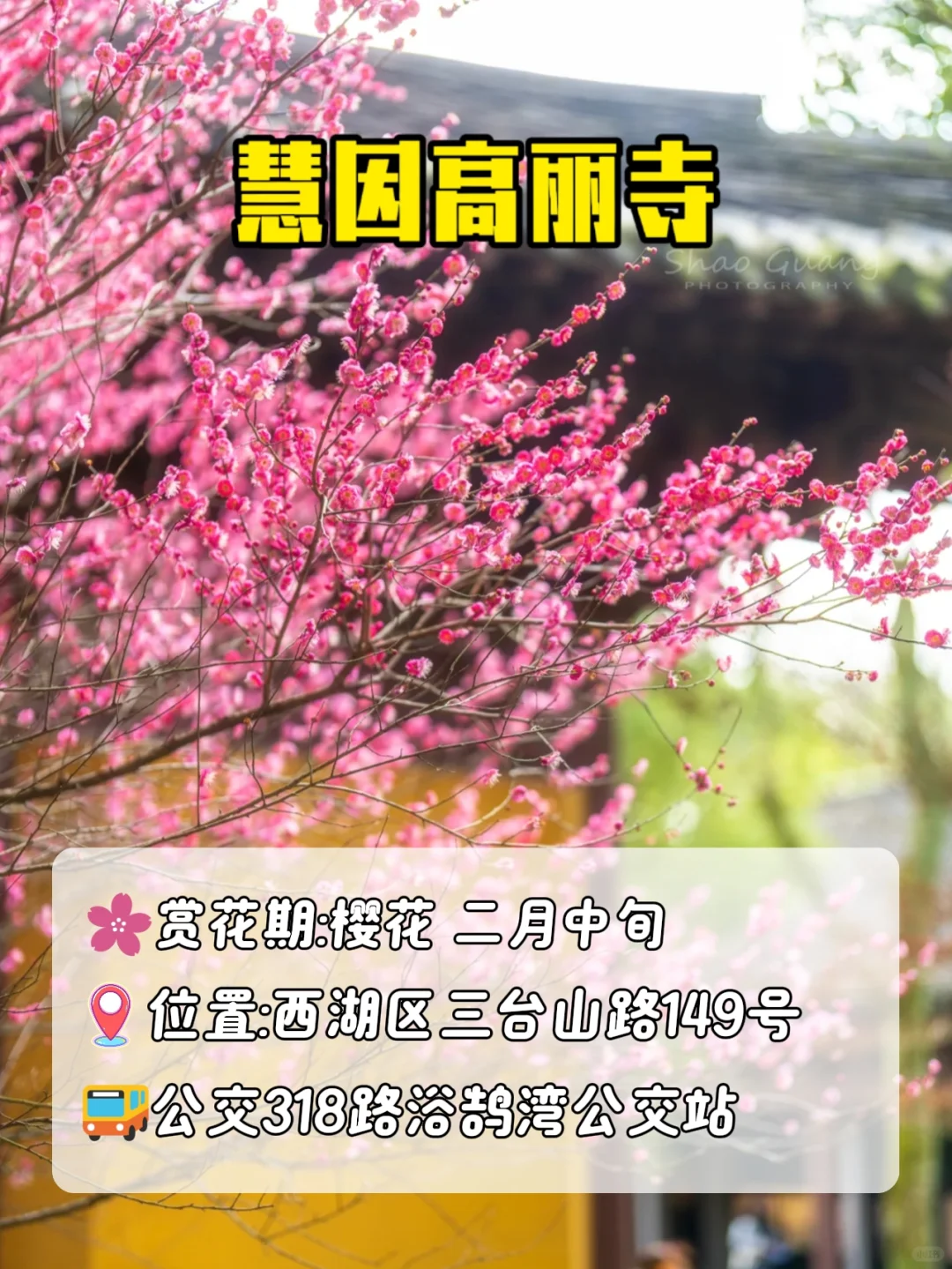3月赏花季|杭州被狠狠低估的5个小众景点