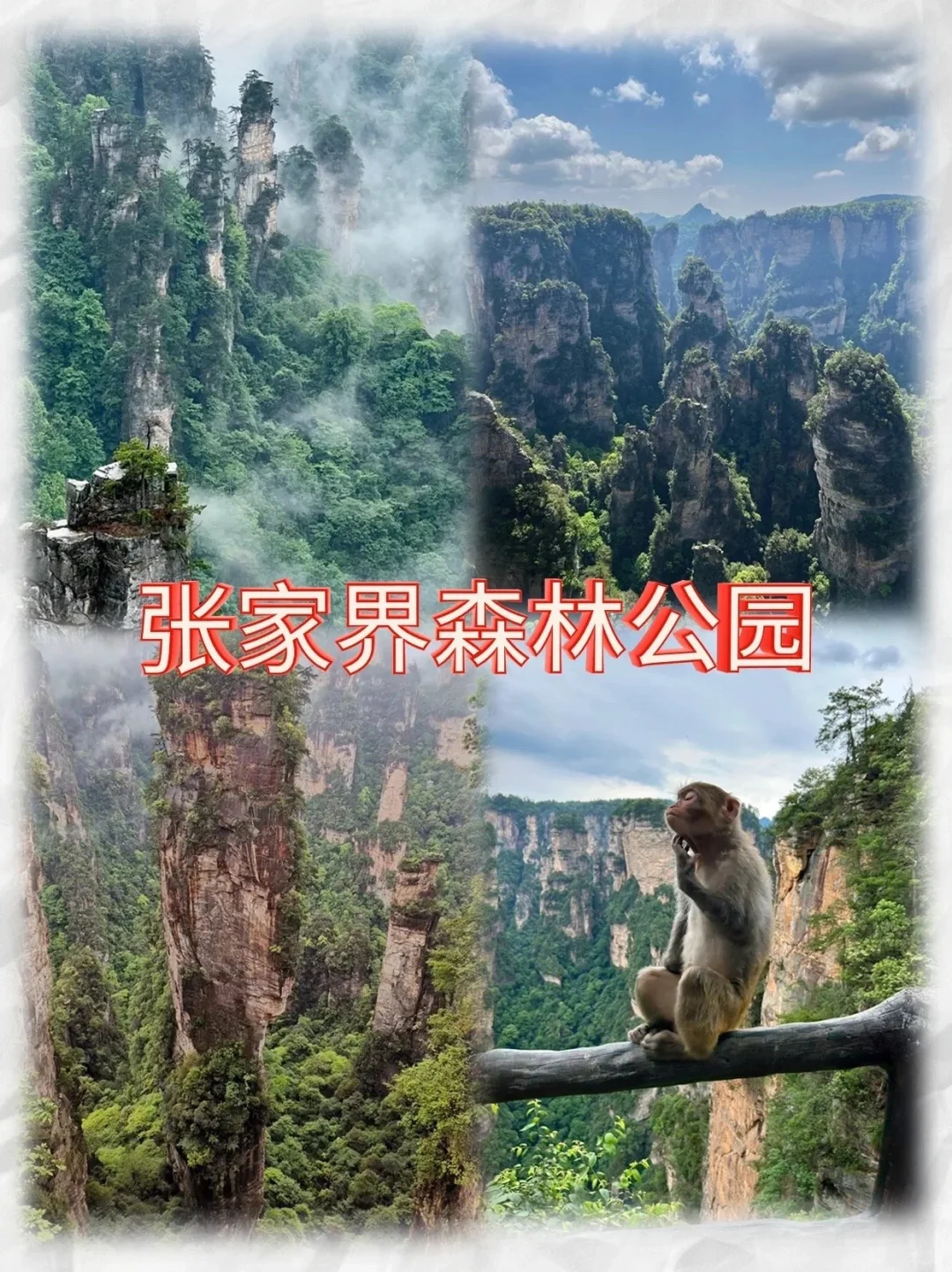 张家界旅游攻略，私人导游带你玩转张家界。来