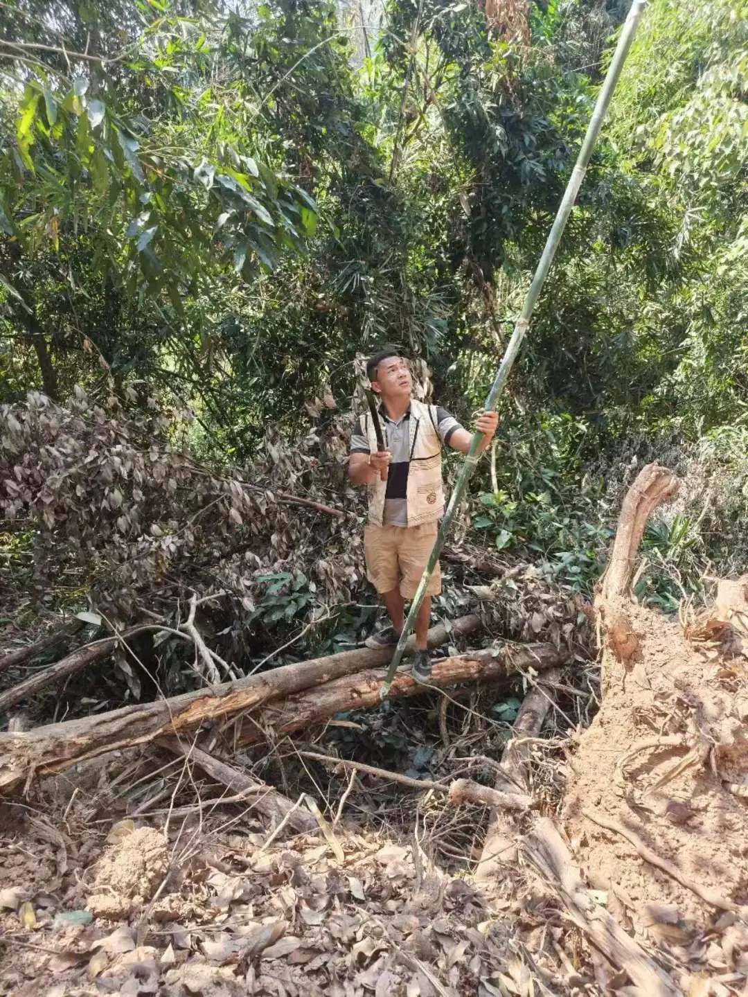 基诺山雨林徒步值得期待