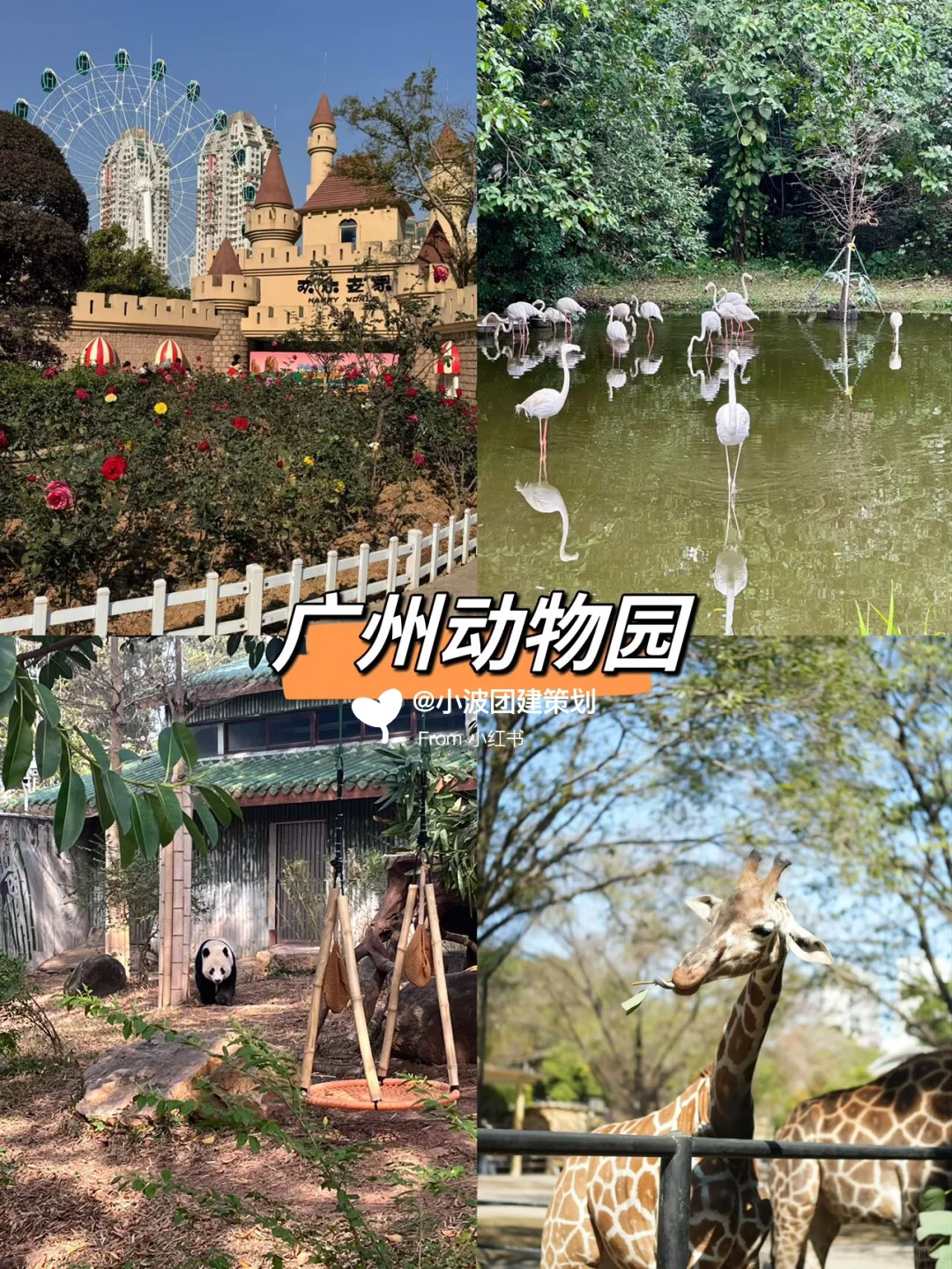 地铁直达🚇广州12个游玩景点攻略合集‼️