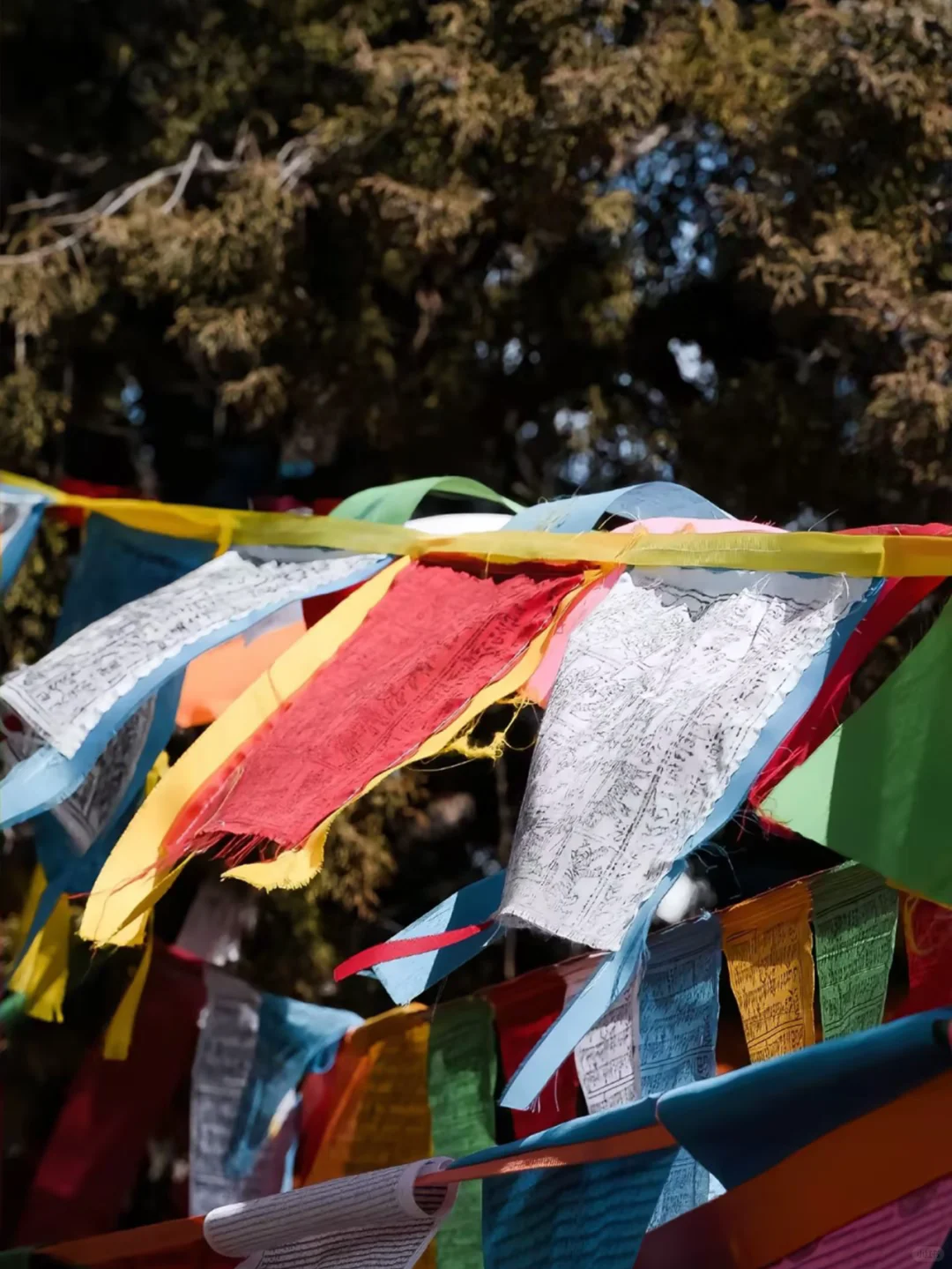 《中国国家地理》一生必去一次的地方！