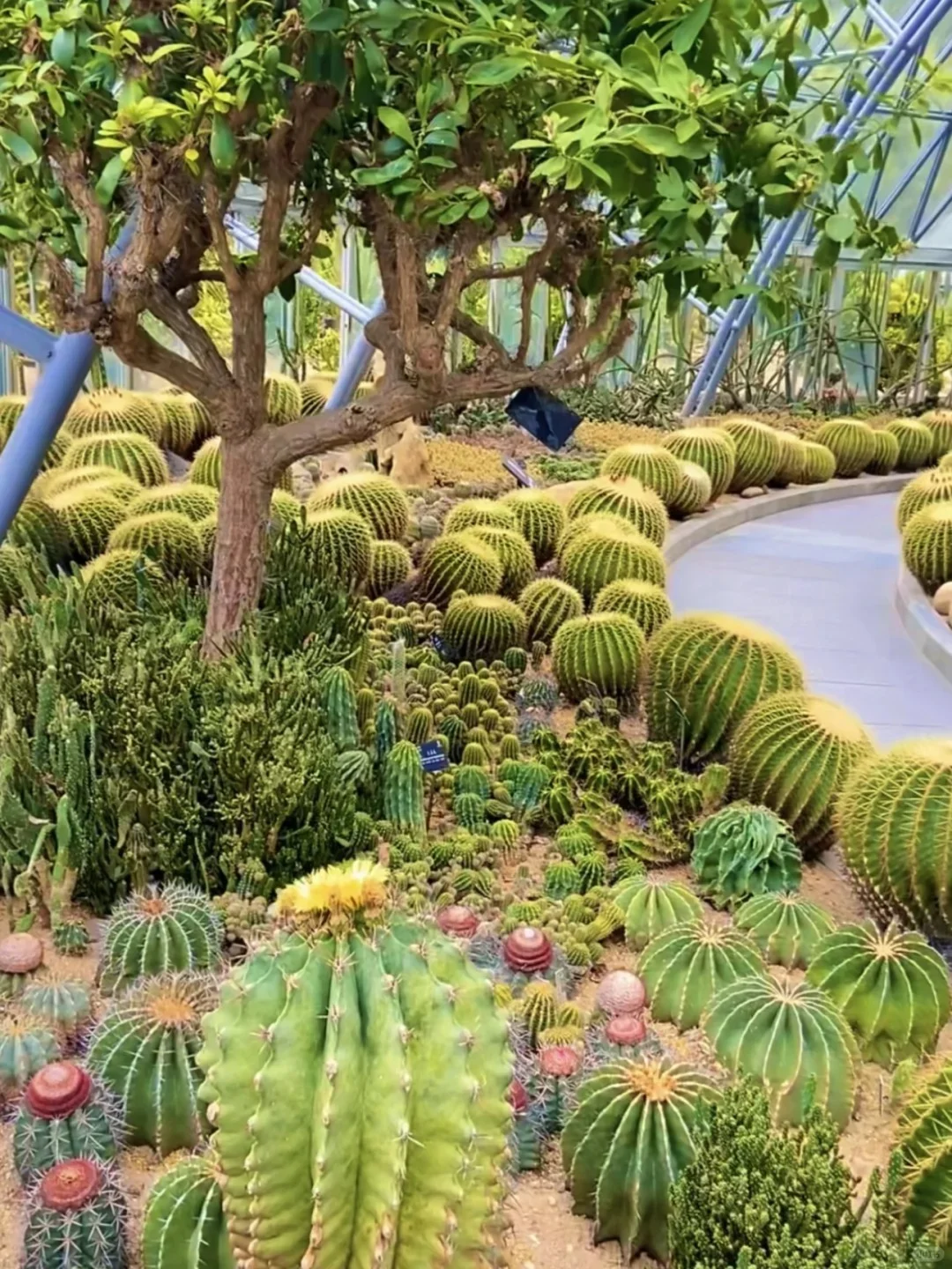 深圳必去九大景点|新手必看❗️附攻略