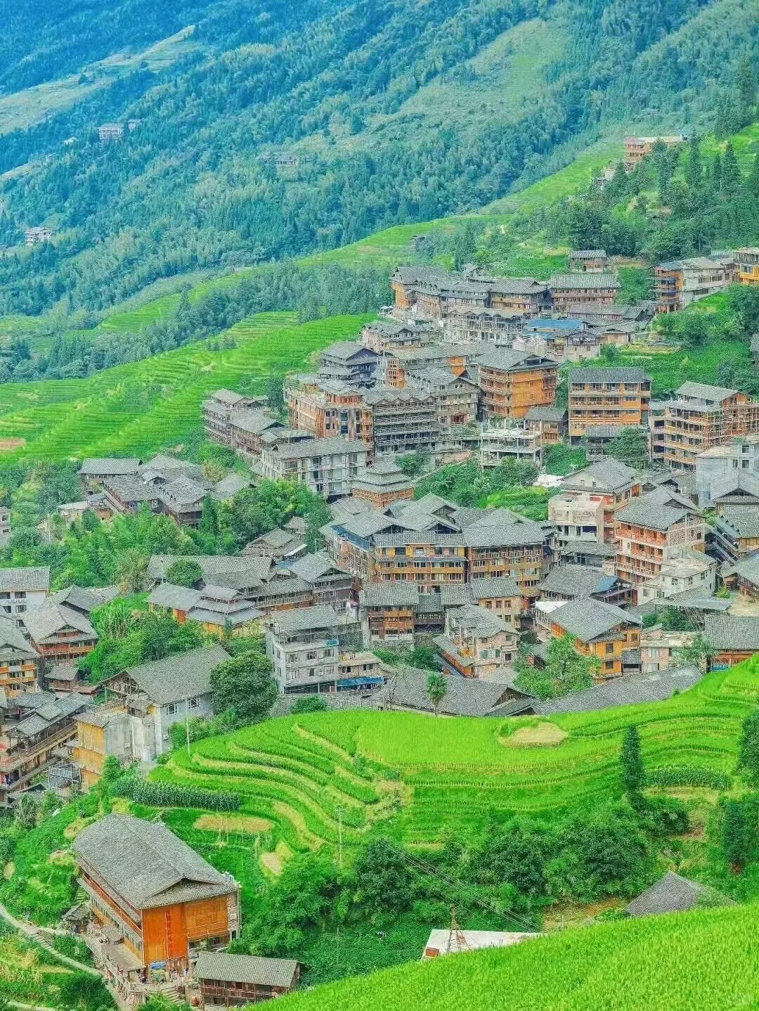 3-4月广西旅游攻略🤯本地人的大实话来了