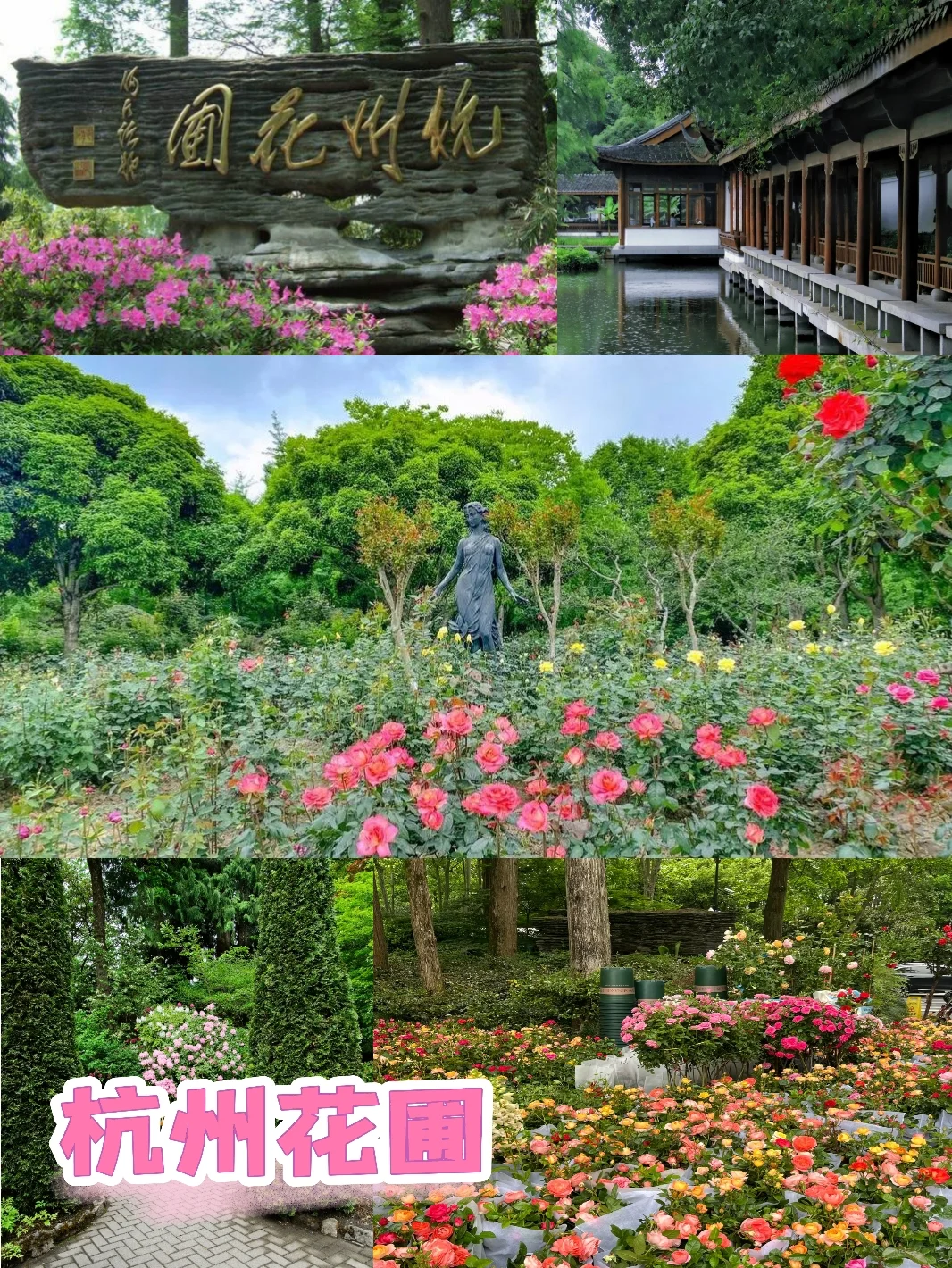 3月赏花季|杭州被狠狠低估的5个小众景点