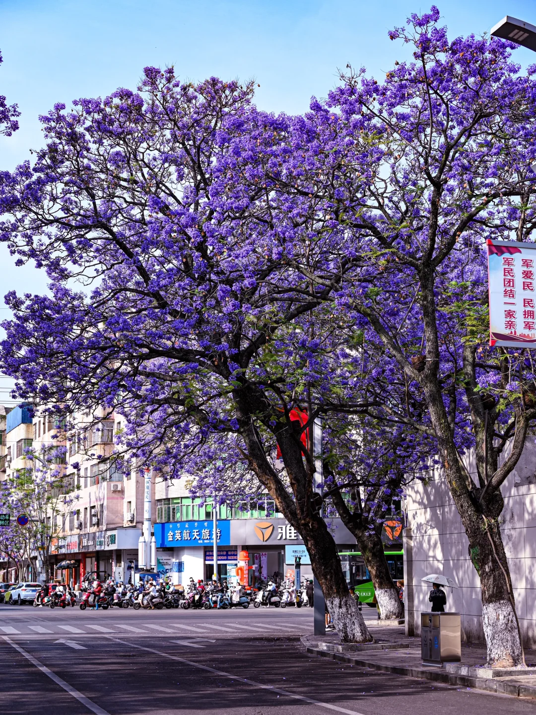 💜成都3️⃣小时，谁懂这一刻浪漫紫的含金量❗