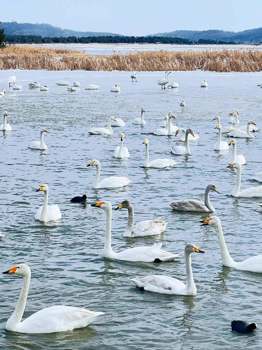 刚从威海回来，戒断反应也太大了‼️如何是好
