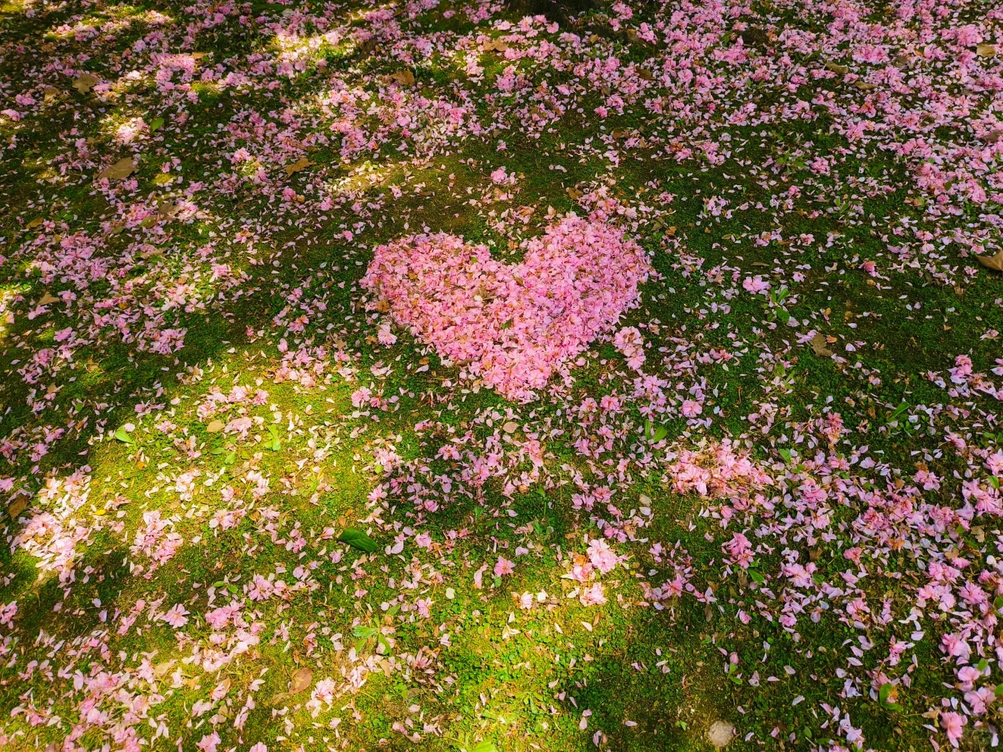 武汉旅游攻略 | 三日打卡，感受江城魅力✨