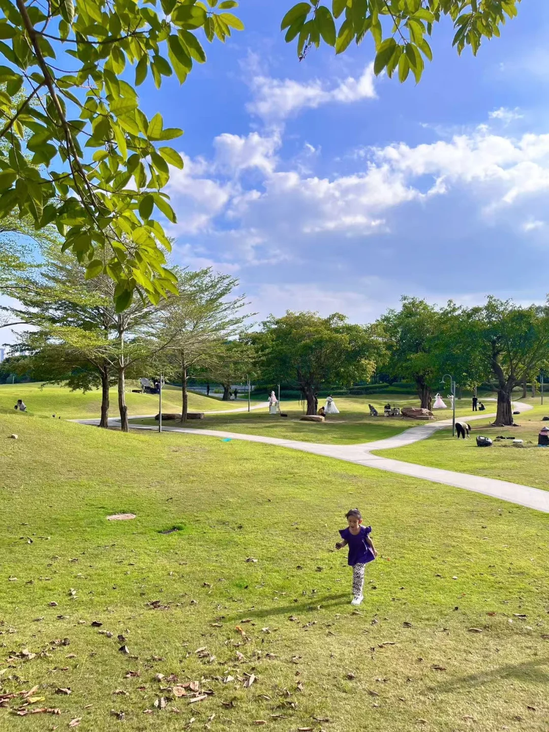 保姆级攻略！杭州亲子遛娃必打卡宝藏景点