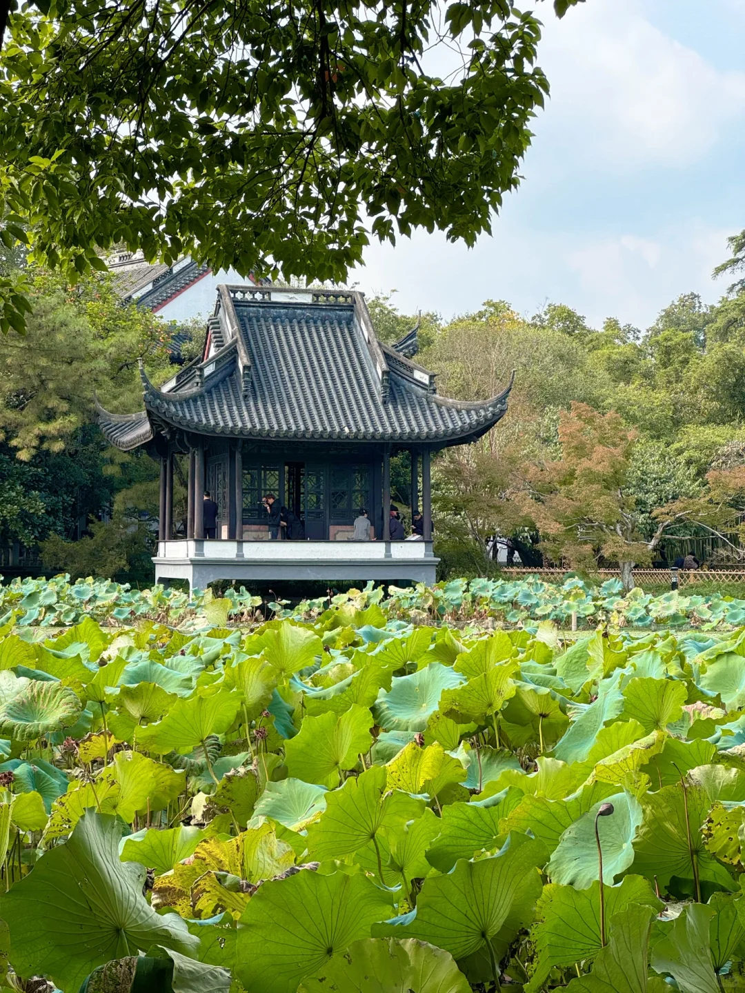 保姆级攻略！杭州亲子遛娃必打卡宝藏景点