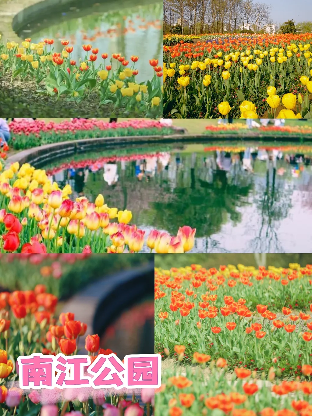 3月赏花季|杭州被狠狠低估的5个小众景点