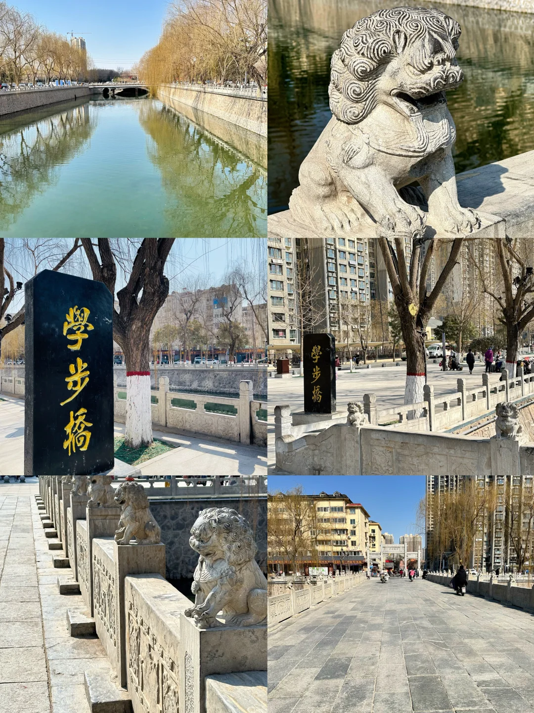 推着♿️带着妈妈🌊｜邯郸无障碍游看这篇‼️