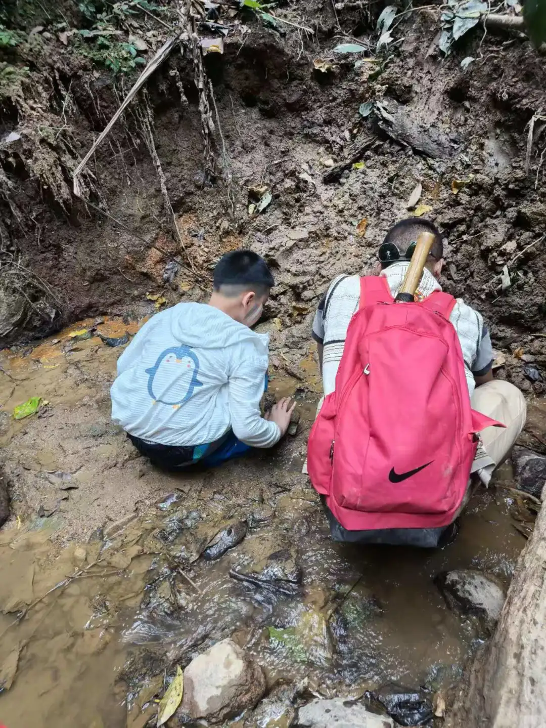 基诺山雨林徒步值得期待