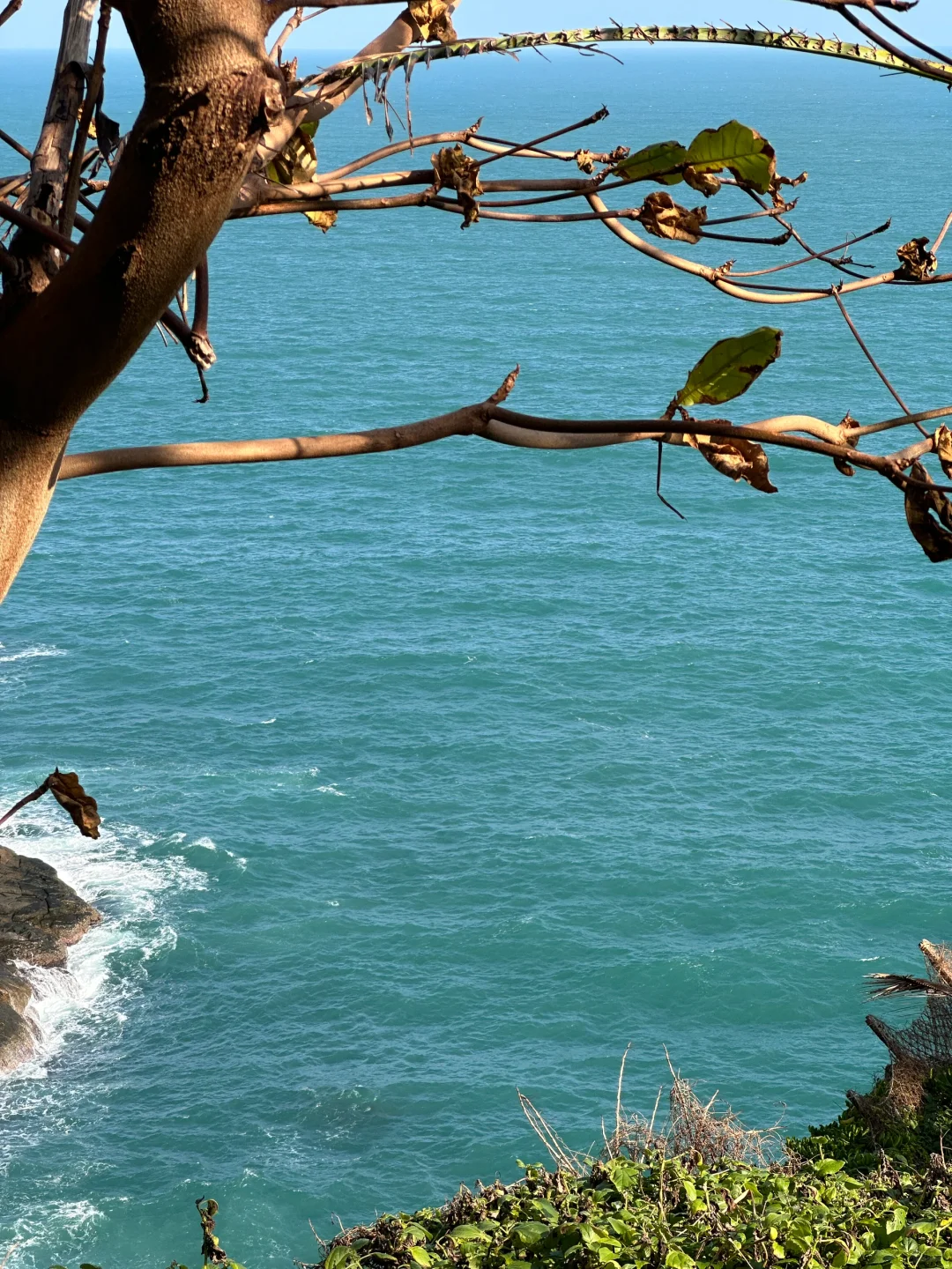 北京出发陵水｜俩妈带俩娃超详细旅游攻略