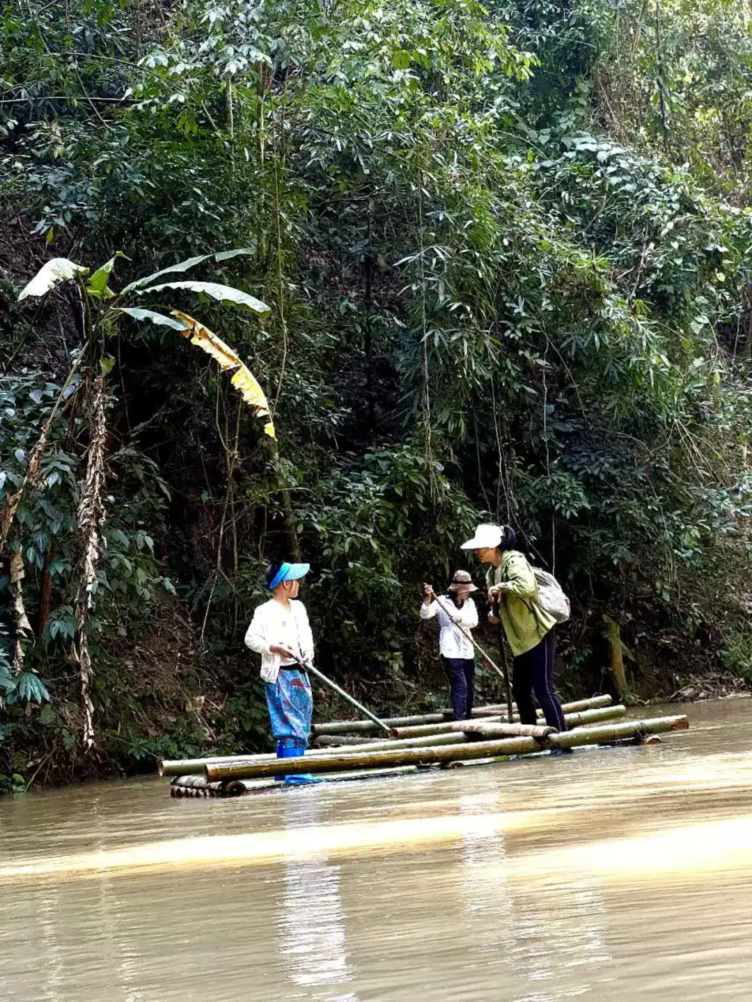 基诺山雨林徒步值得期待