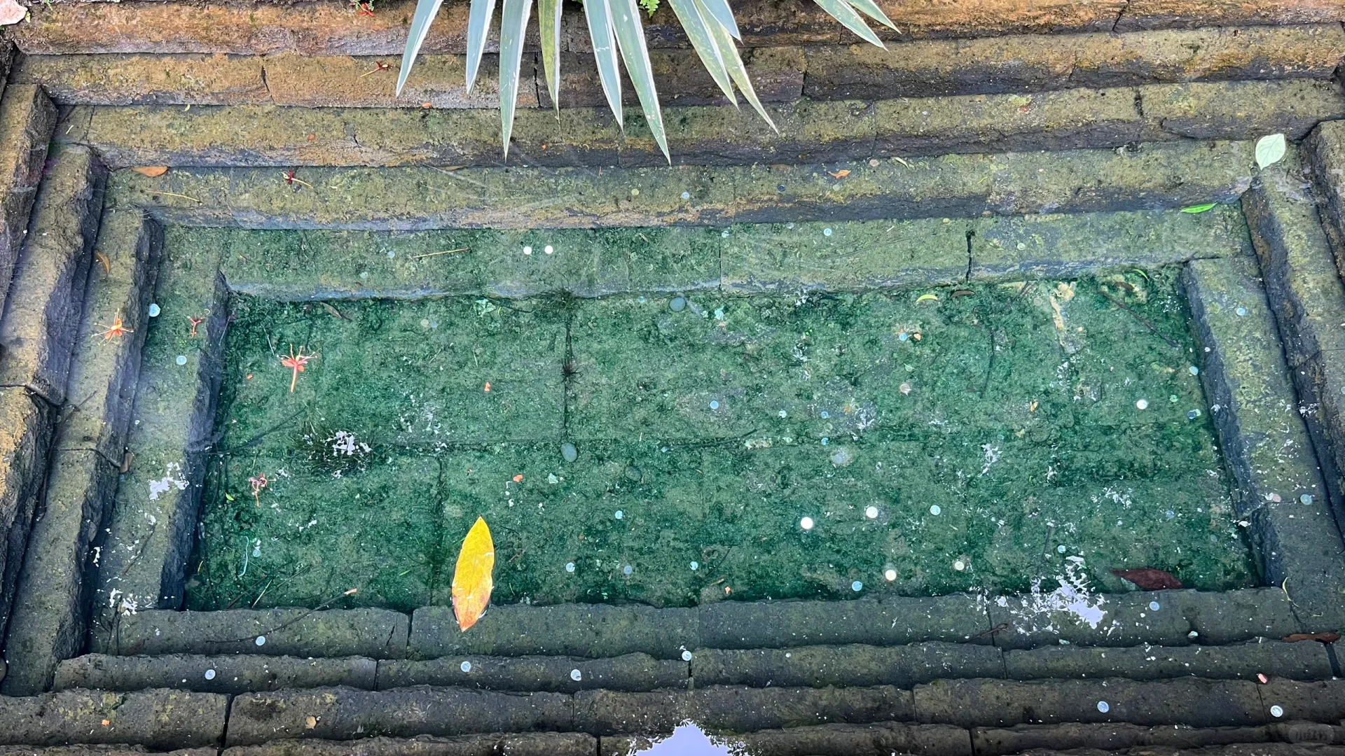 三月南宁旅游攻略｜人均500玩转绿城