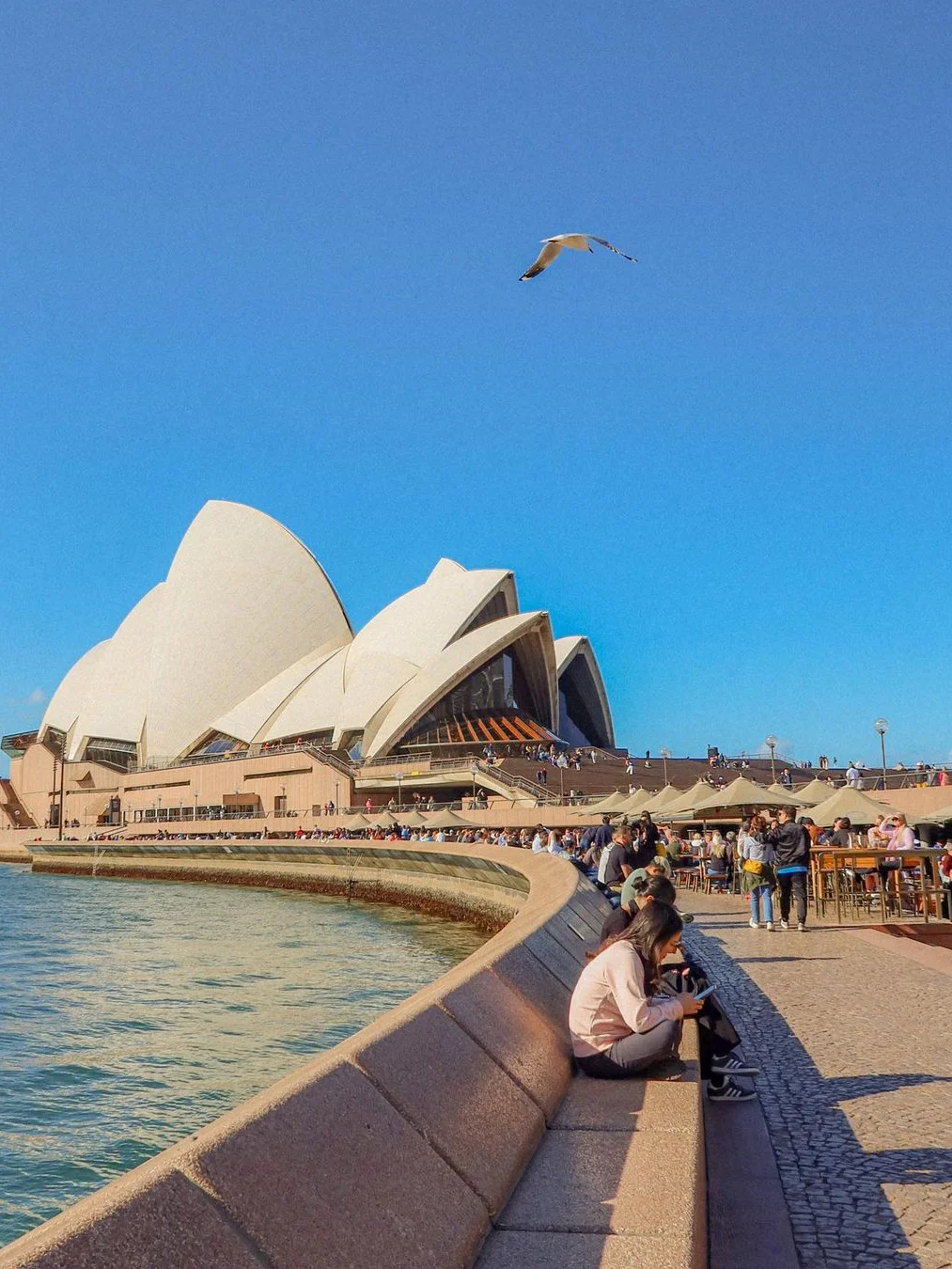 2025澳大利亚全年旅游计划➕最佳旅行地攻略