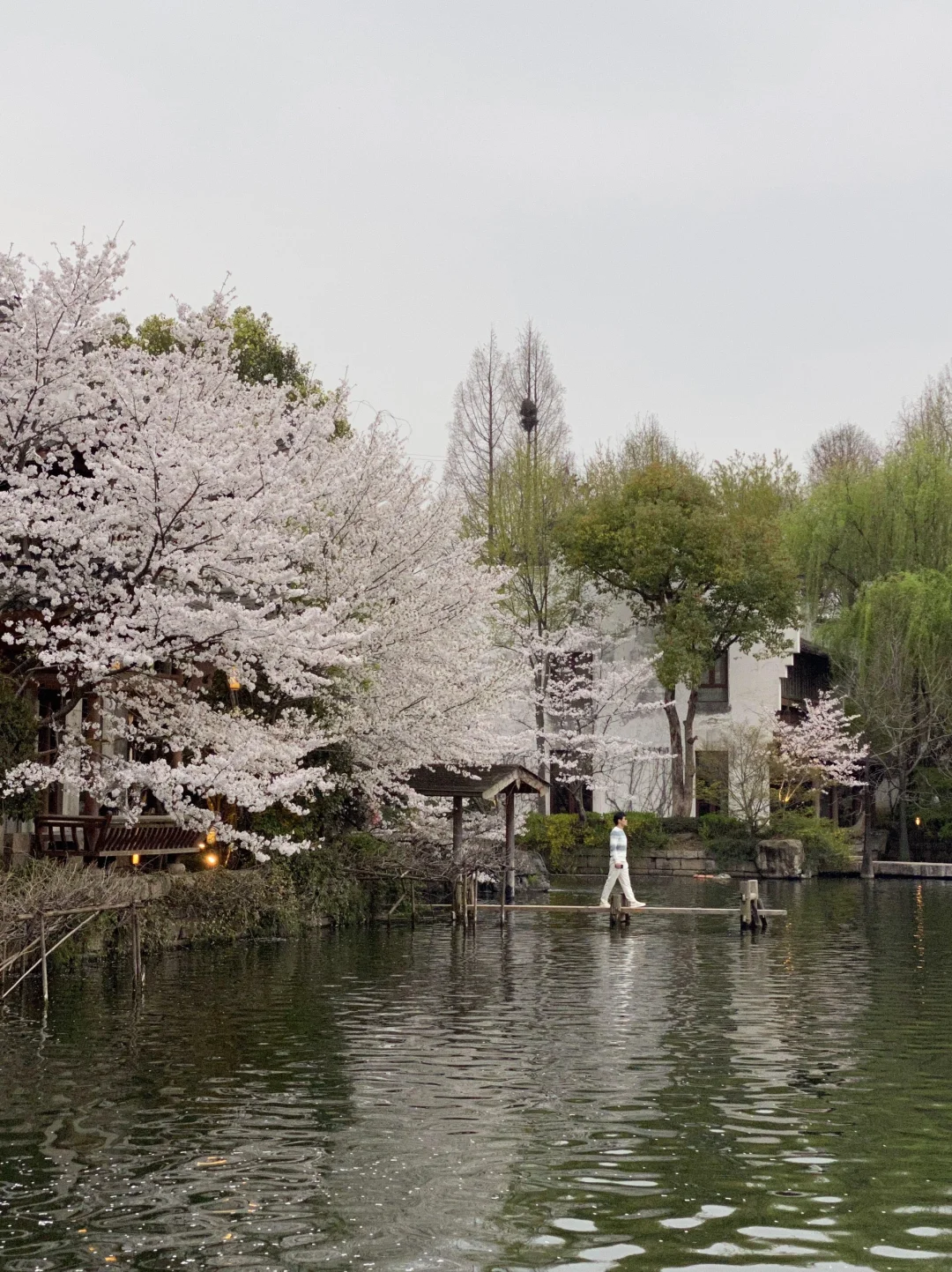 以为西湖已经够美了…😭直到我去了这里🌸