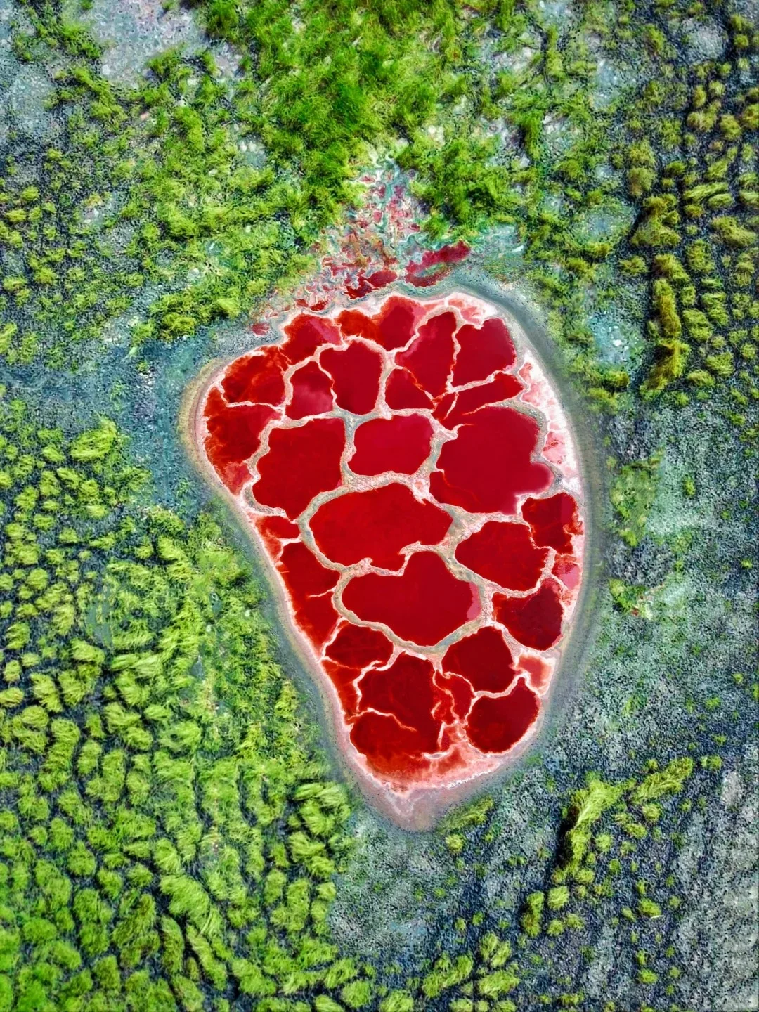 🎉宁夏银川旅行一定要去9个景点