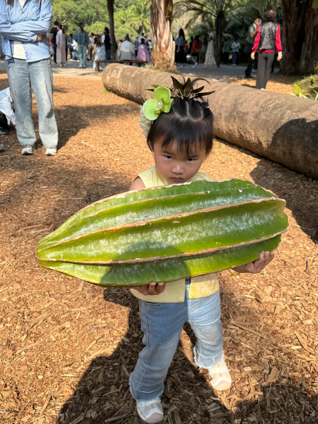 保姆级攻略玩转西双版纳！太想去养老啦！