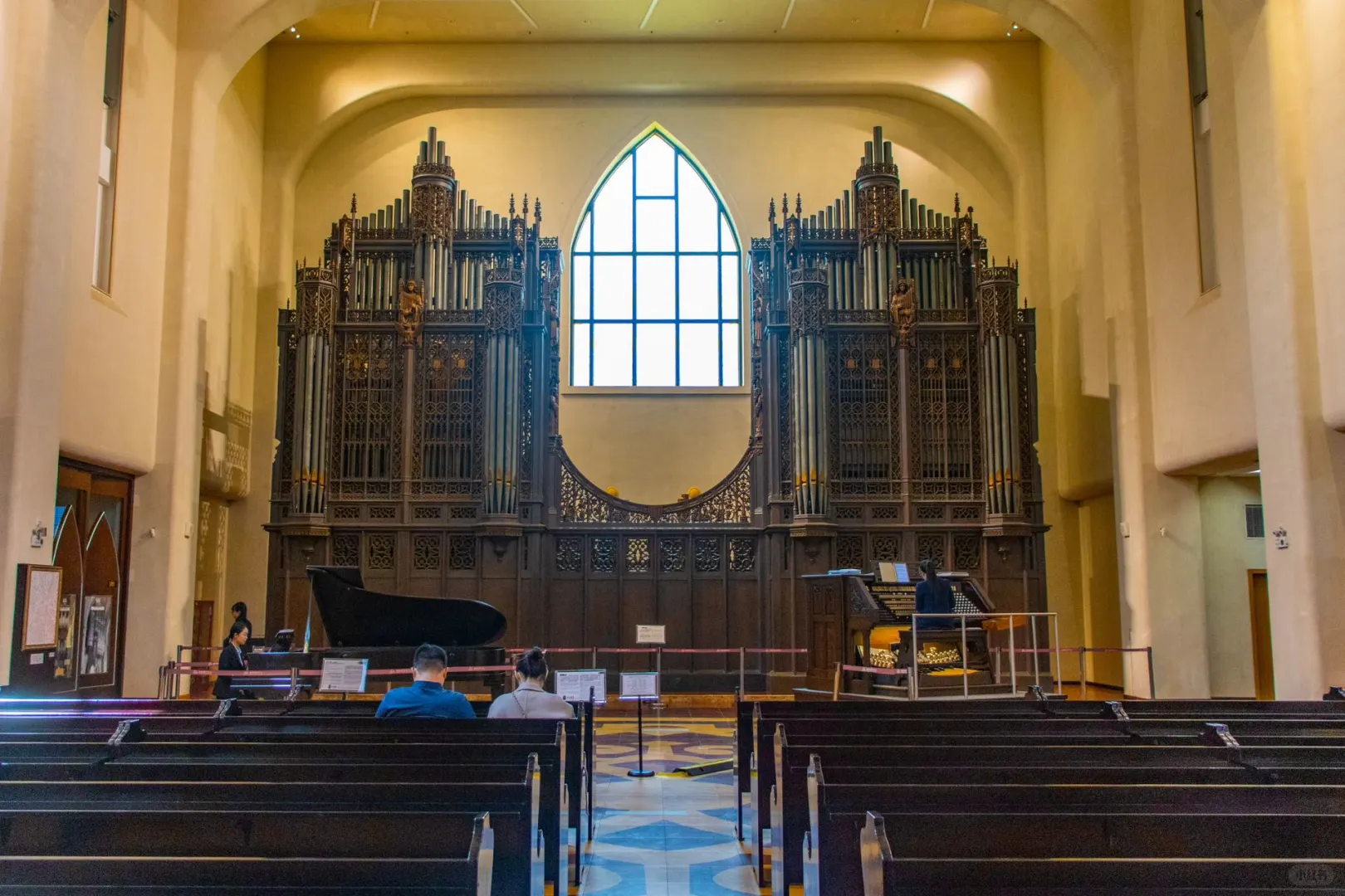 屿见厦门畅游卡深度攻略