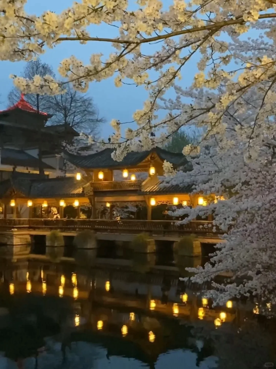 以为西湖已经够美了…😭直到我去了这里🌸