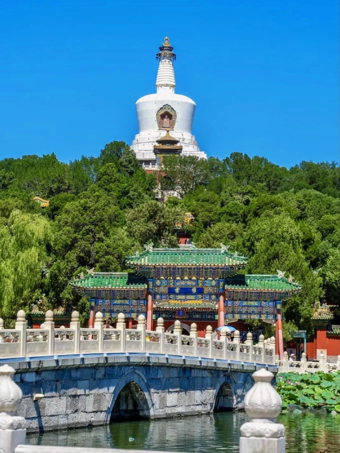 北京真的会惩罚每一个不提前预约的人😭！