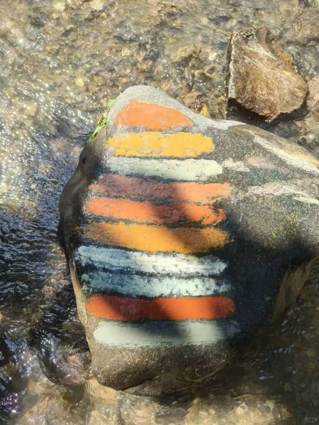 基诺山雨林徒步值得期待