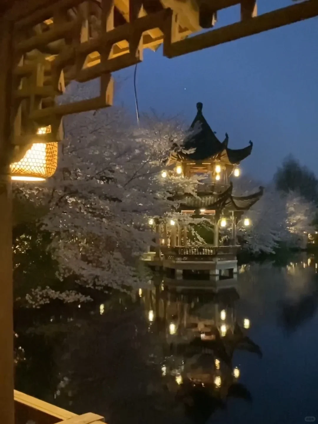 以为西湖已经够美了…😭直到我去了这里🌸