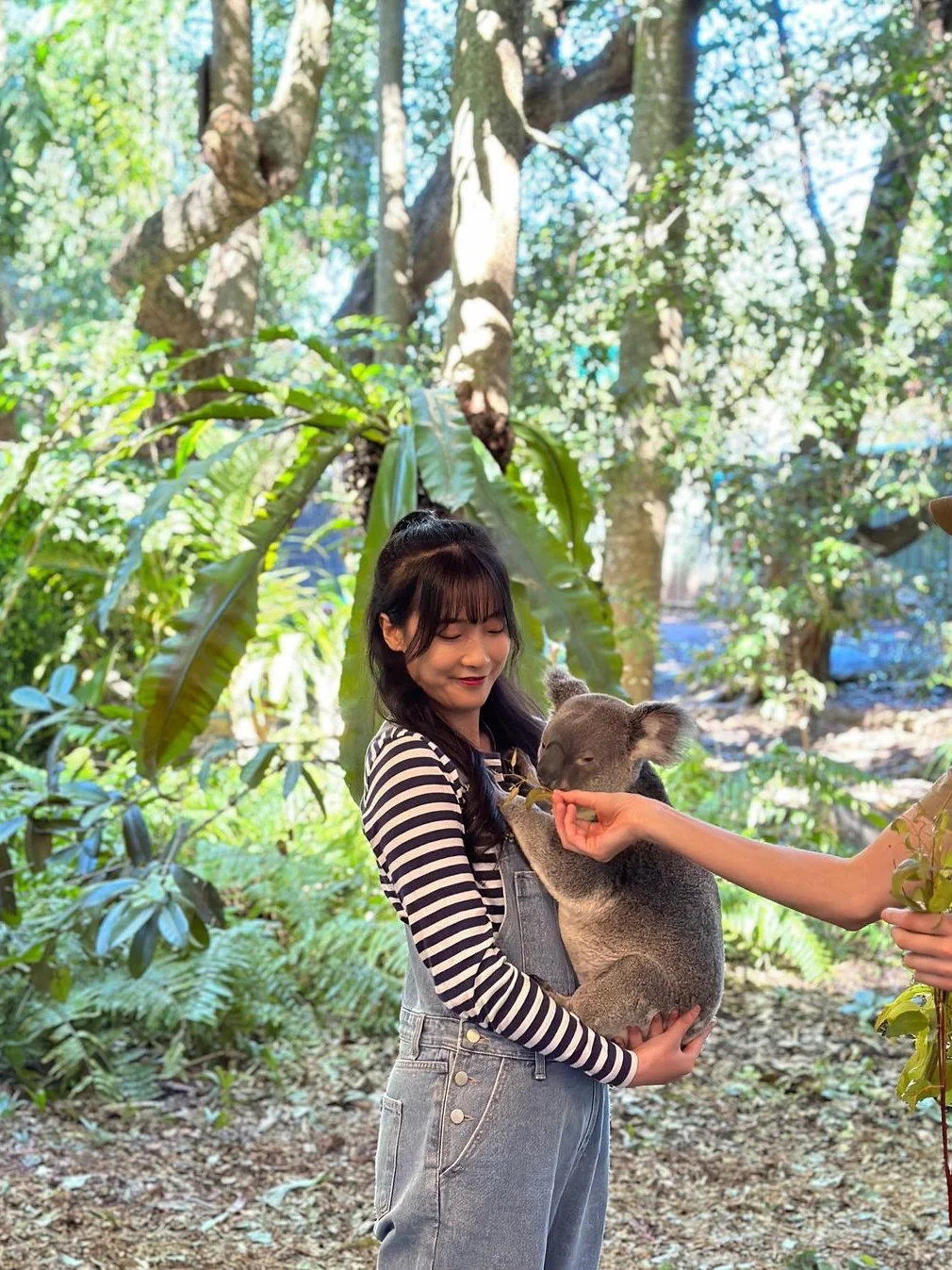 2025澳大利亚全年旅游计划➕最佳旅行地攻略