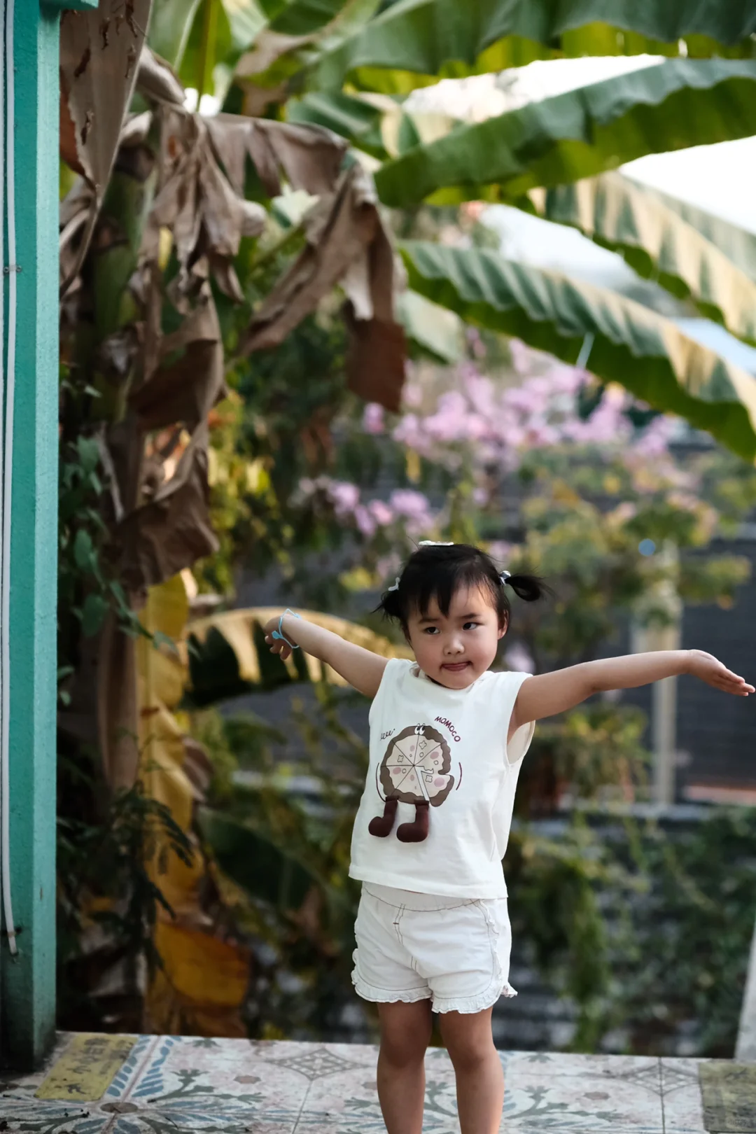 保姆级攻略玩转西双版纳！太想去养老啦！