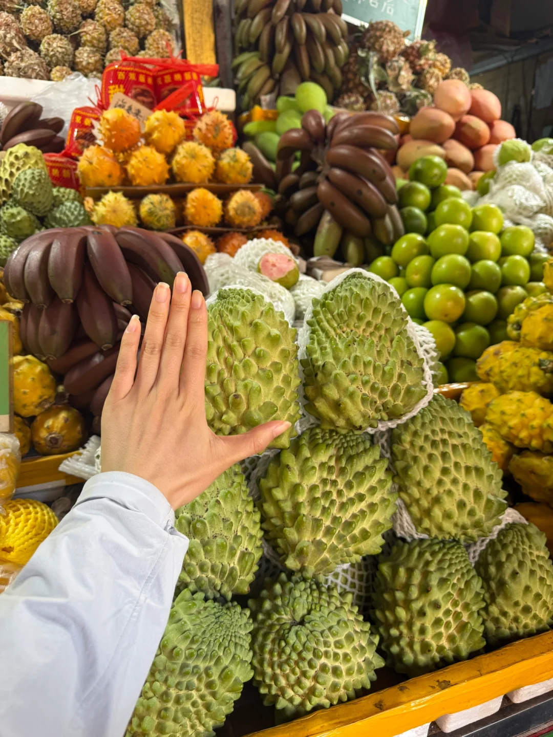 保姆级攻略玩转西双版纳！太想去养老啦！