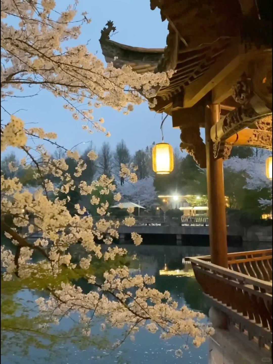 以为西湖已经够美了…😭直到我去了这里🌸