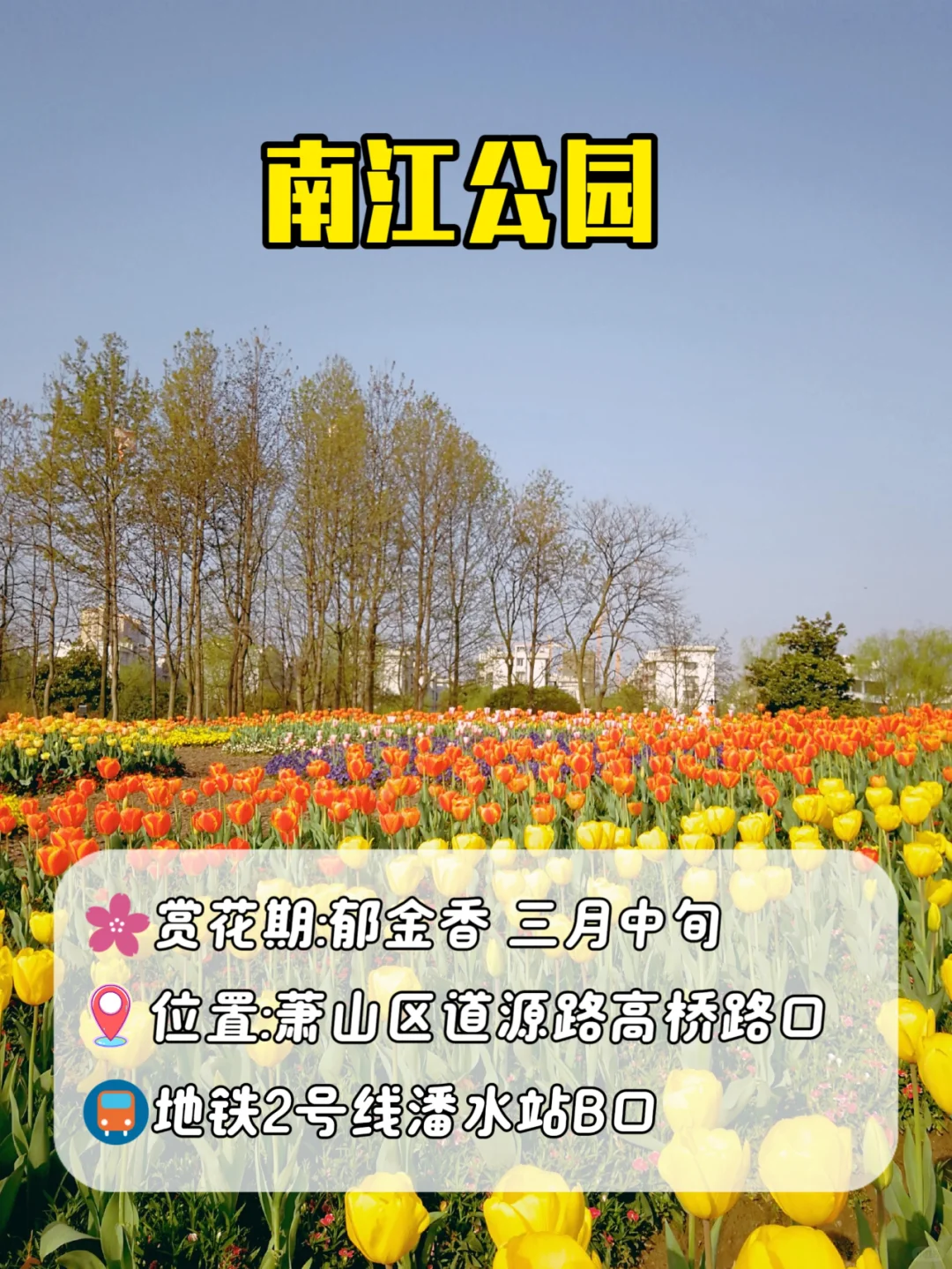3月赏花季|杭州被狠狠低估的5个小众景点
