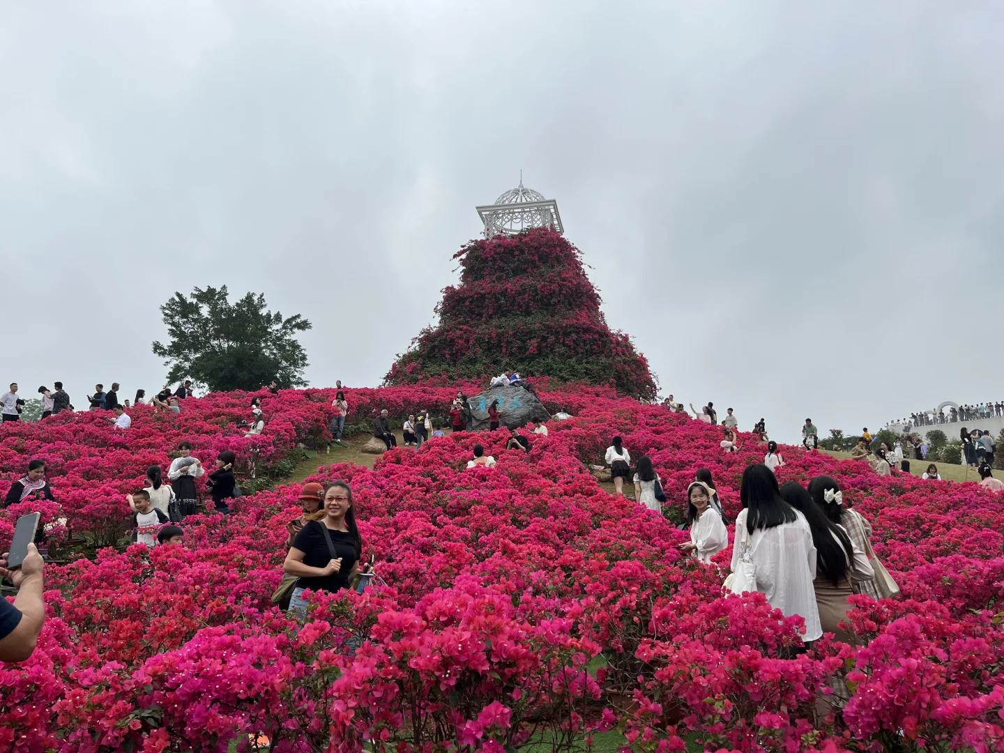 三月南宁旅游攻略｜人均500玩转绿城