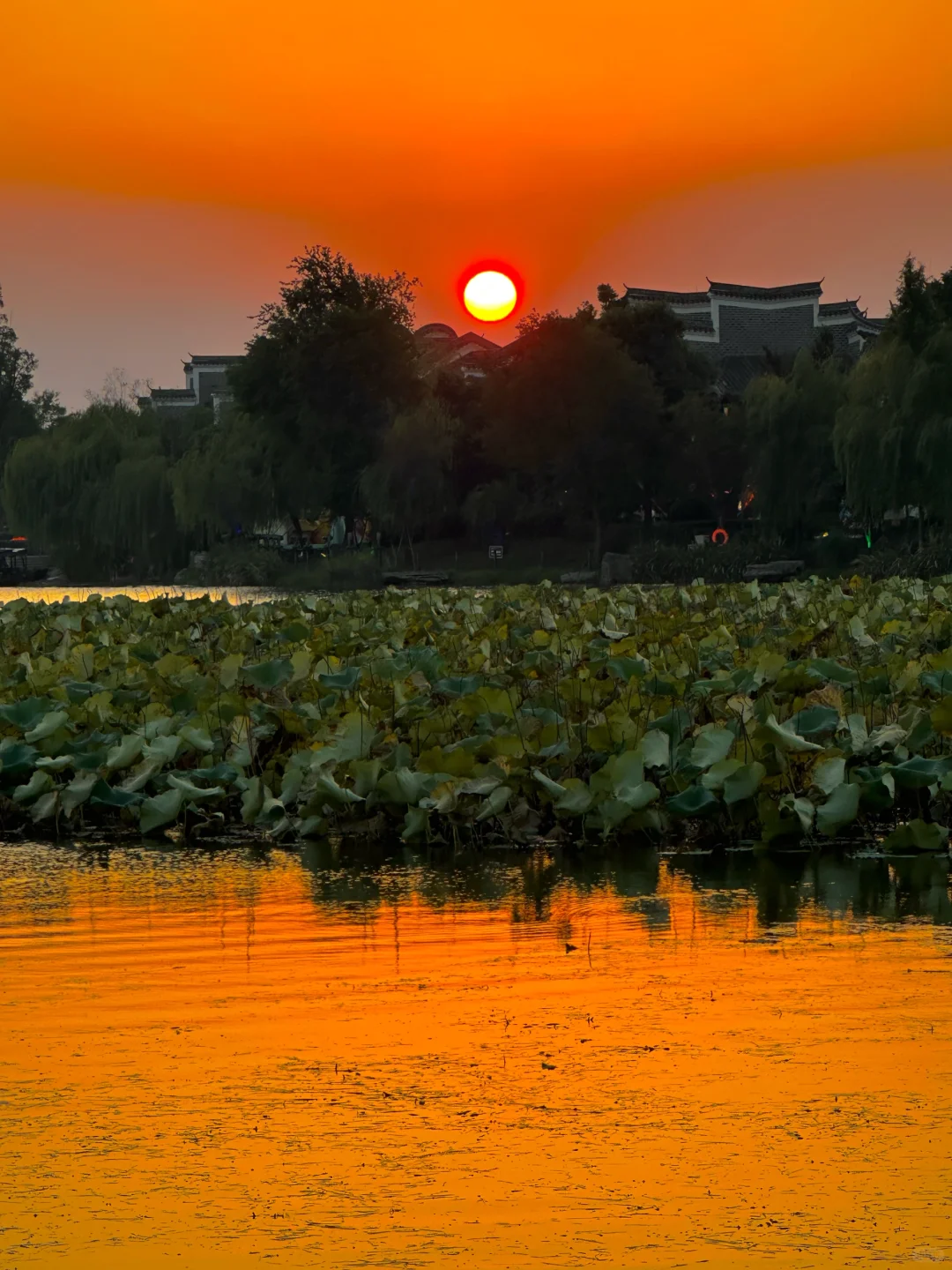 如果你也喜欢日落，不妨我们交换一张🌅