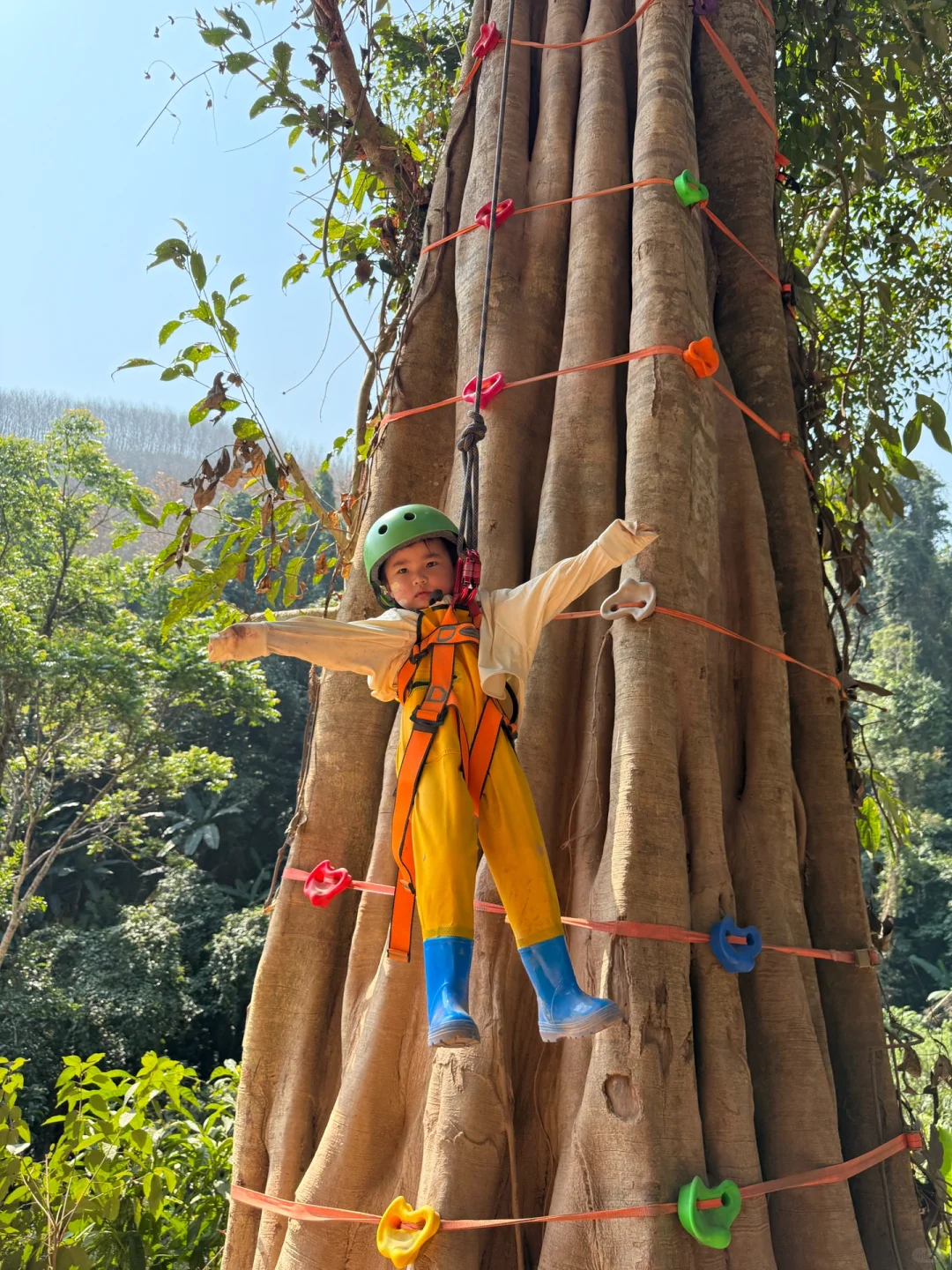 保姆级攻略玩转西双版纳！太想去养老啦！
