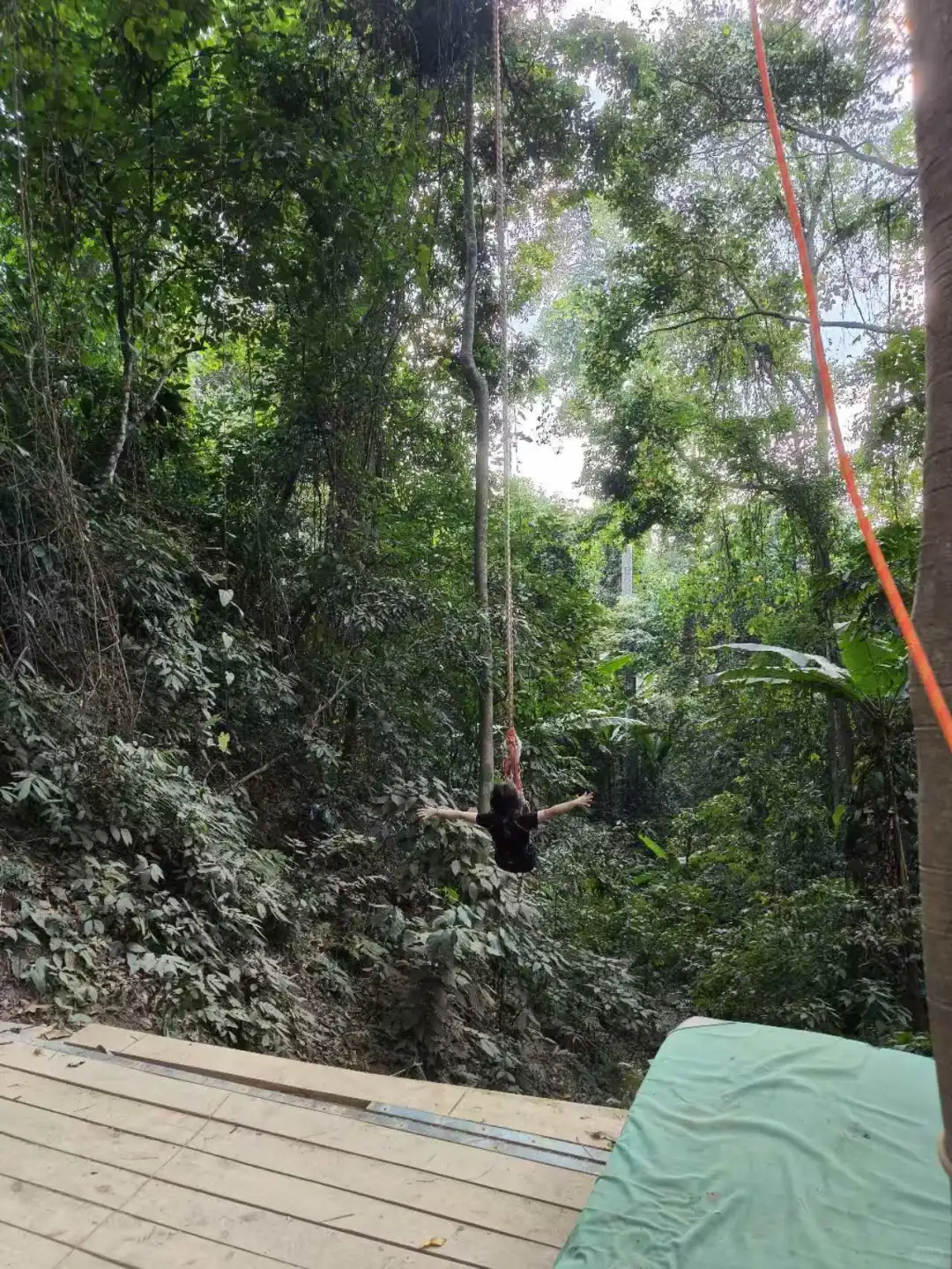 基诺山雨林徒步值得期待